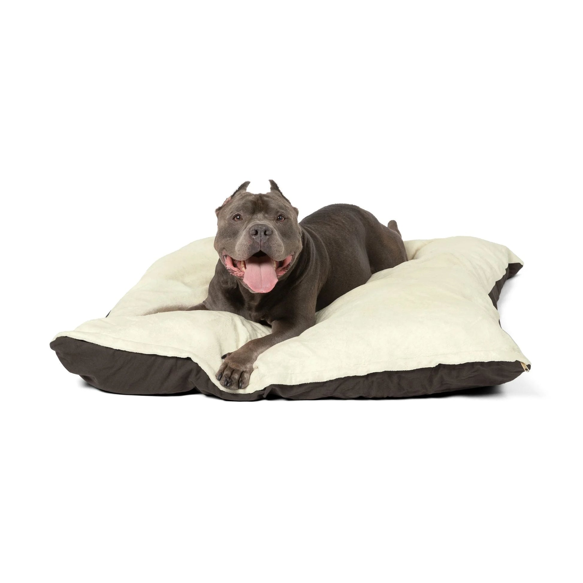 Buy The Best By Artsulli x Color Printify - Pet Bed - 2025