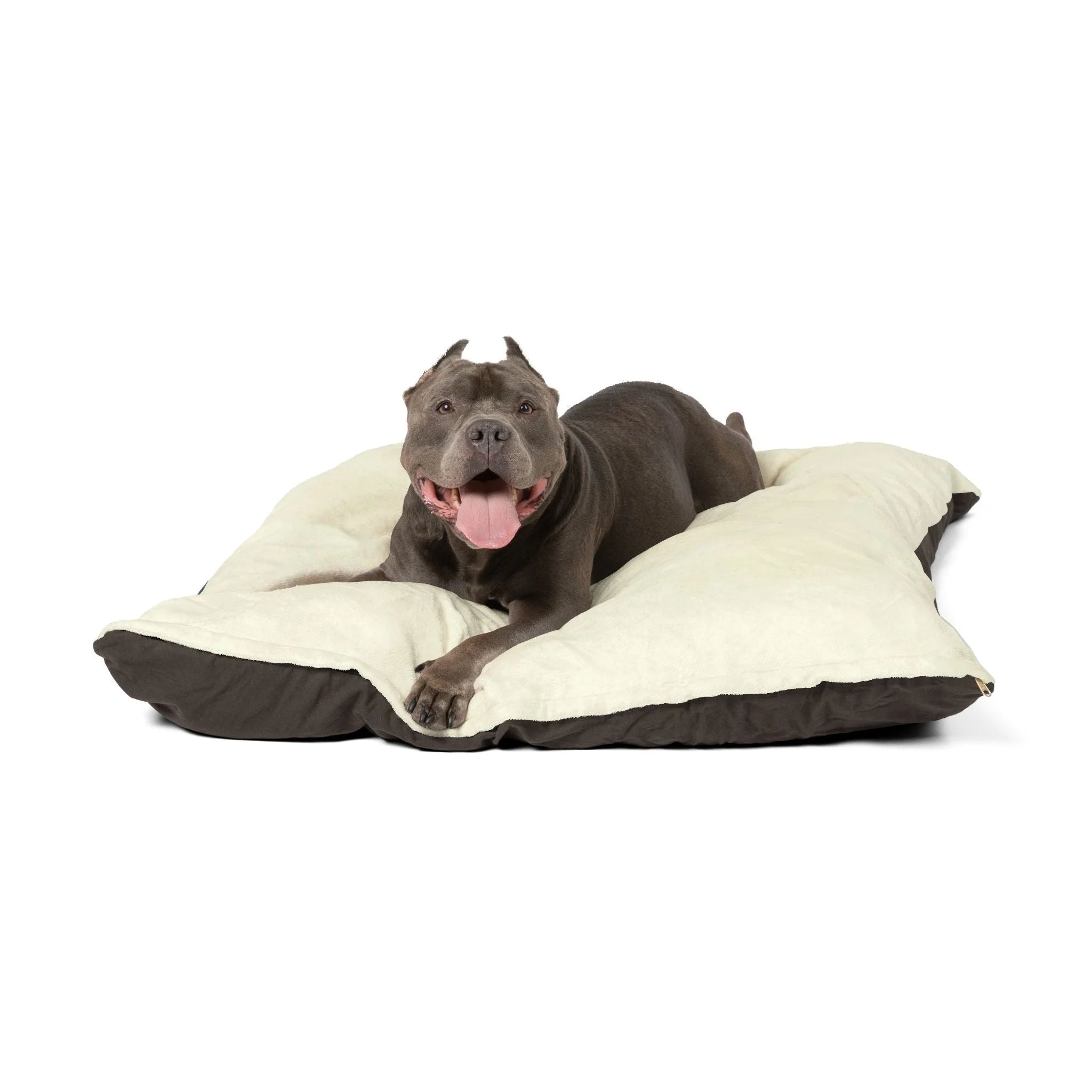 Buy The Best By Artsulli x Color Printify - Pet Bed - 2025