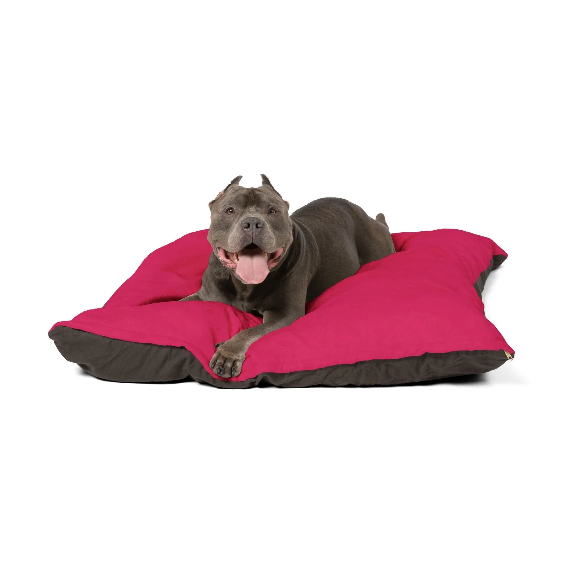 Buy The Best By Artsulli x Color Printify - Pet Bed - 2025