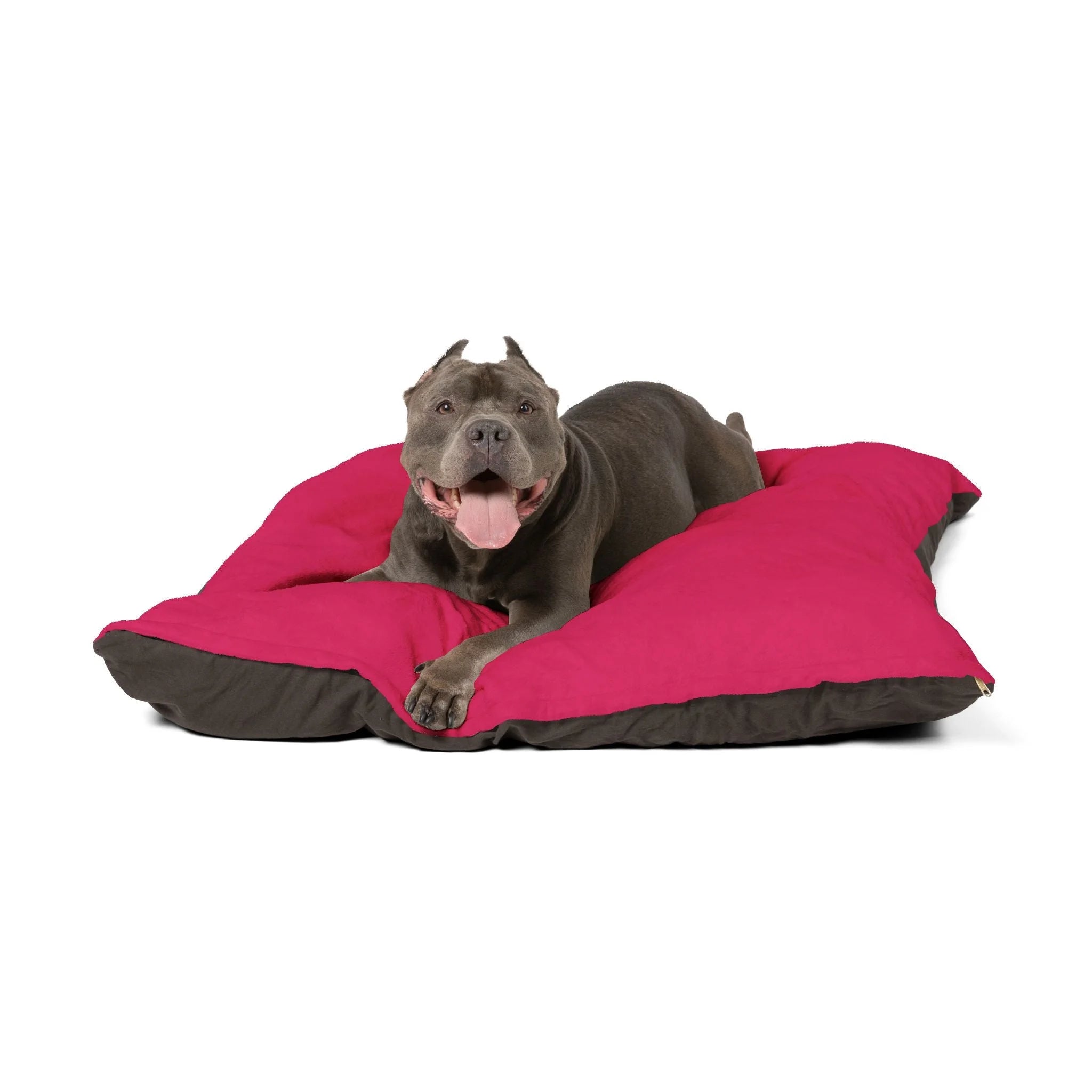 Buy The Best By Artsulli x Color Printify - Pet Bed - 2025