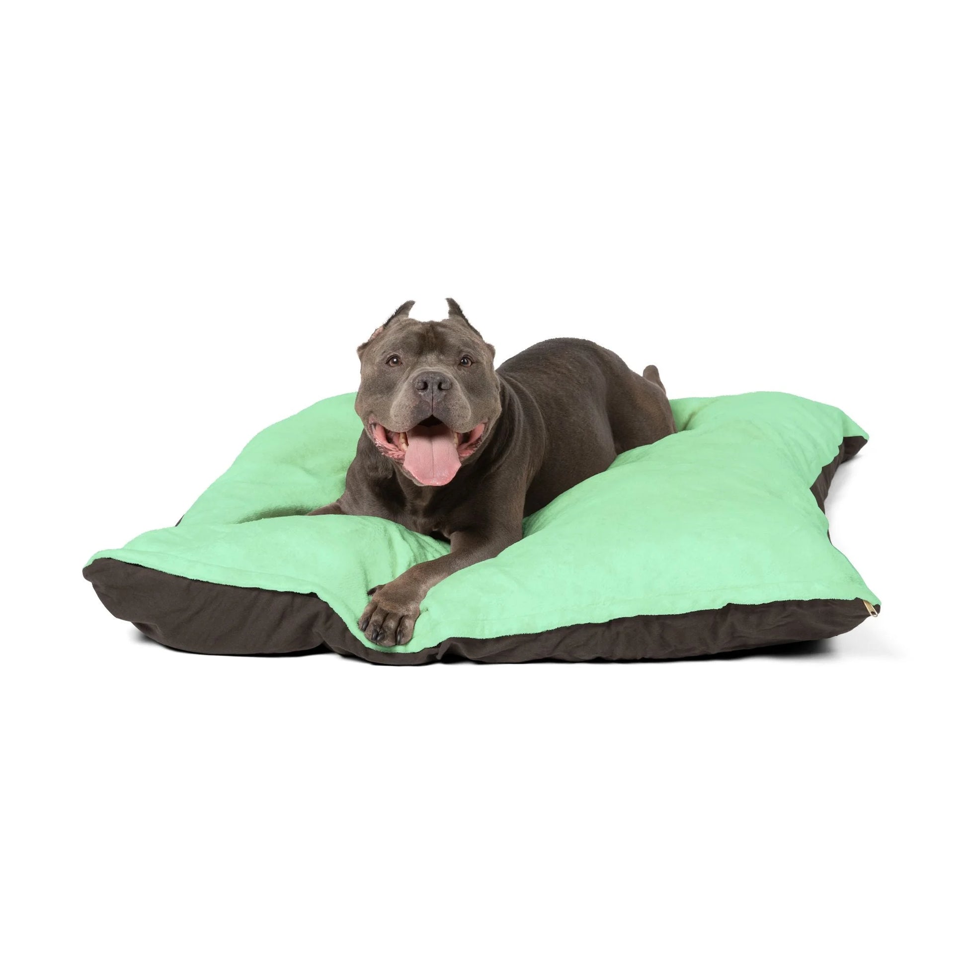 Buy The Best By Artsulli x Color Printify - Pet Bed - 2025