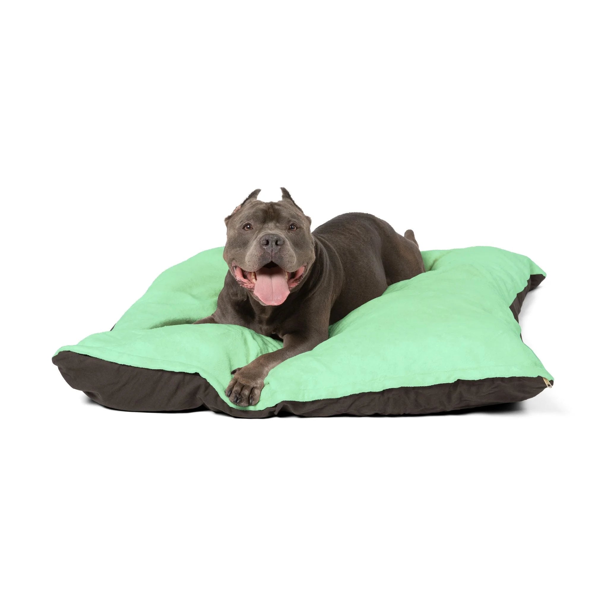 Buy The Best By Artsulli x Color Printify - Pet Bed - 2025