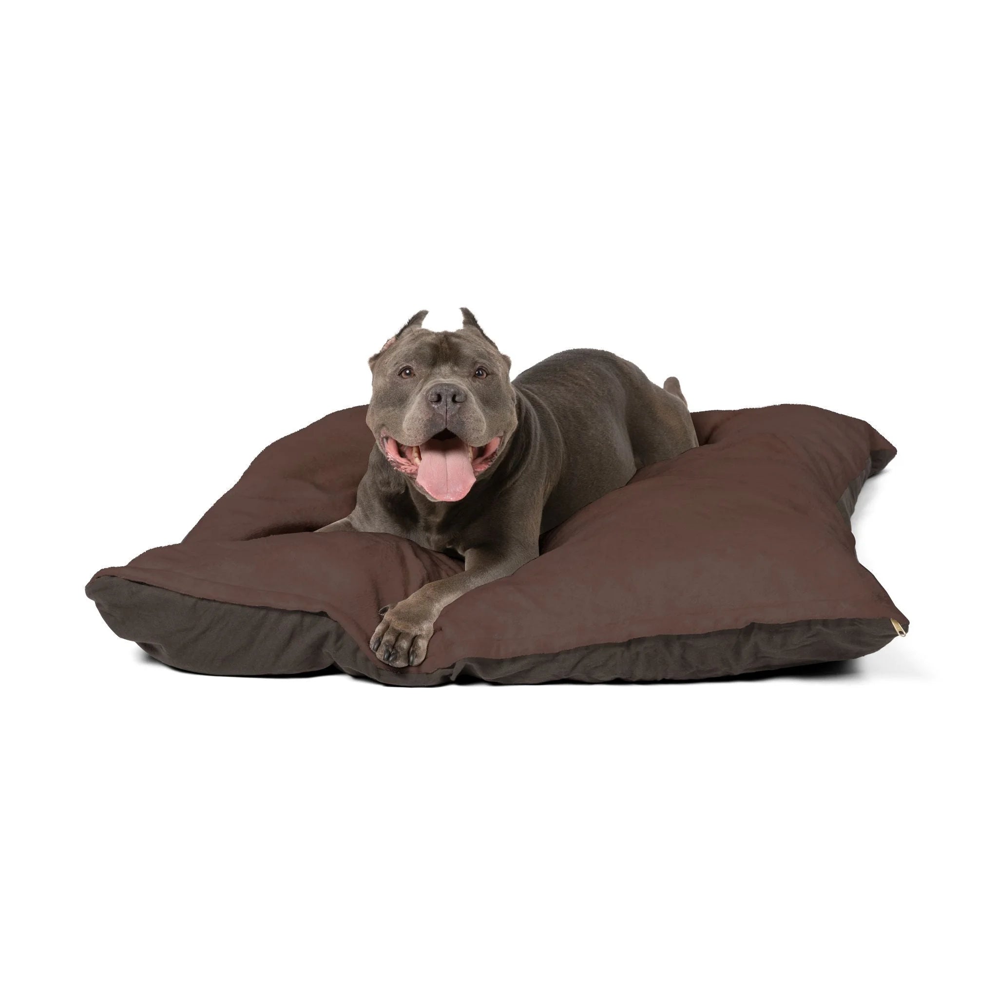 Buy The Best By Artsulli x Color Printify - Pet Bed - 2025