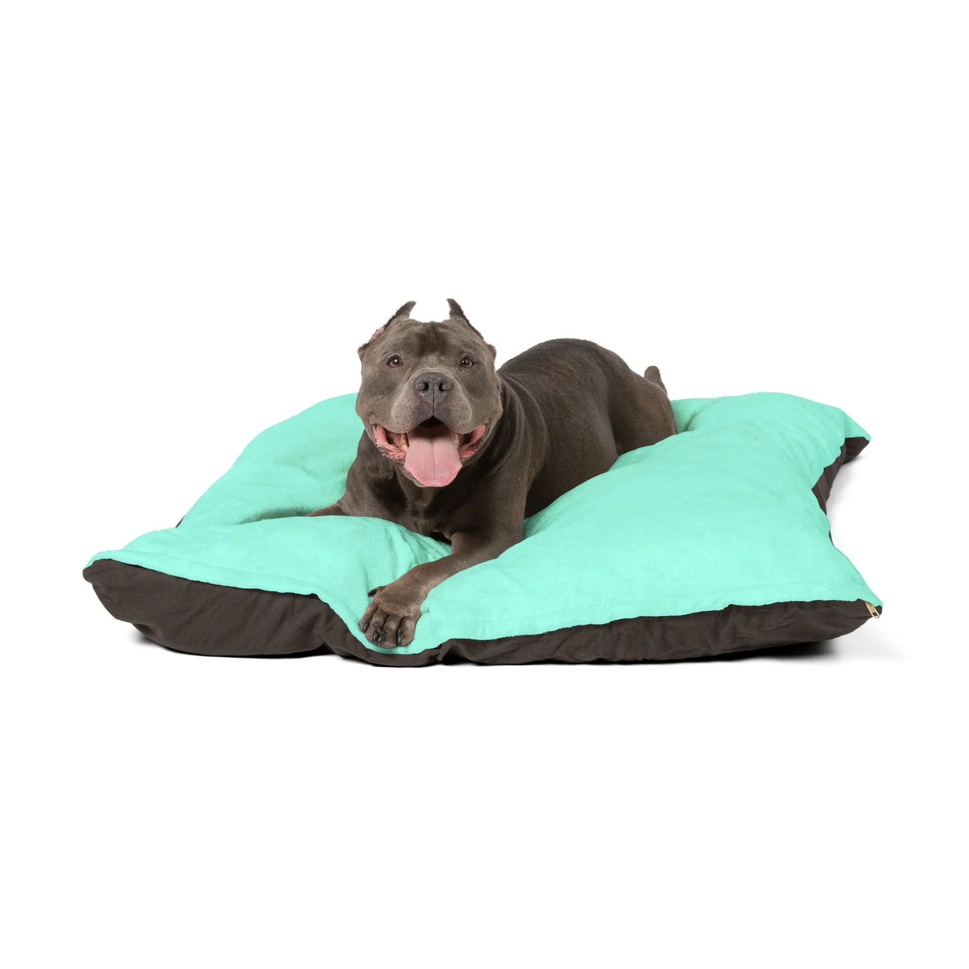 Buy The Best By Artsulli x Color Printify - Pet Bed - 2025