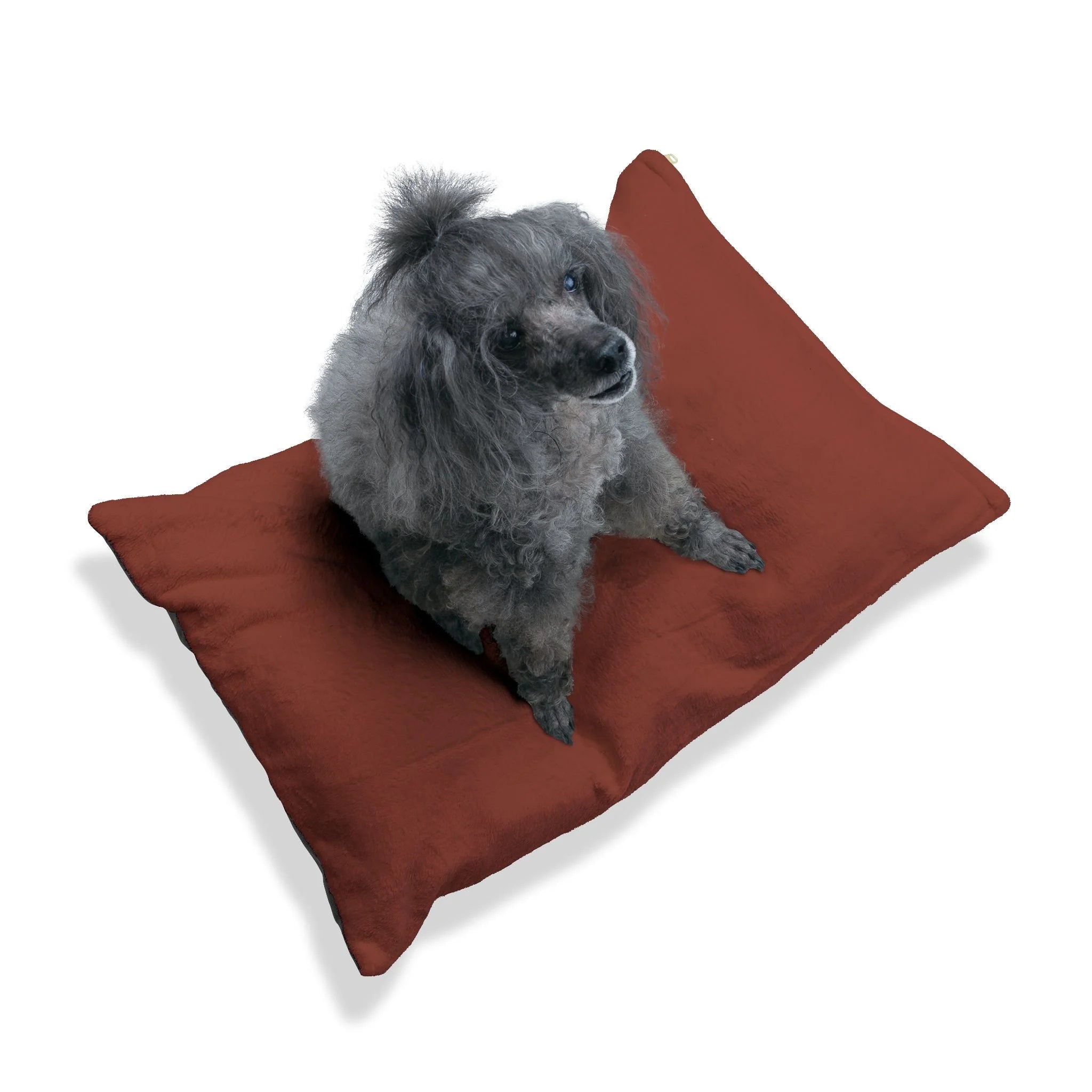 Buy The Best By Artsulli x Color Printify - Pet Bed - 2025