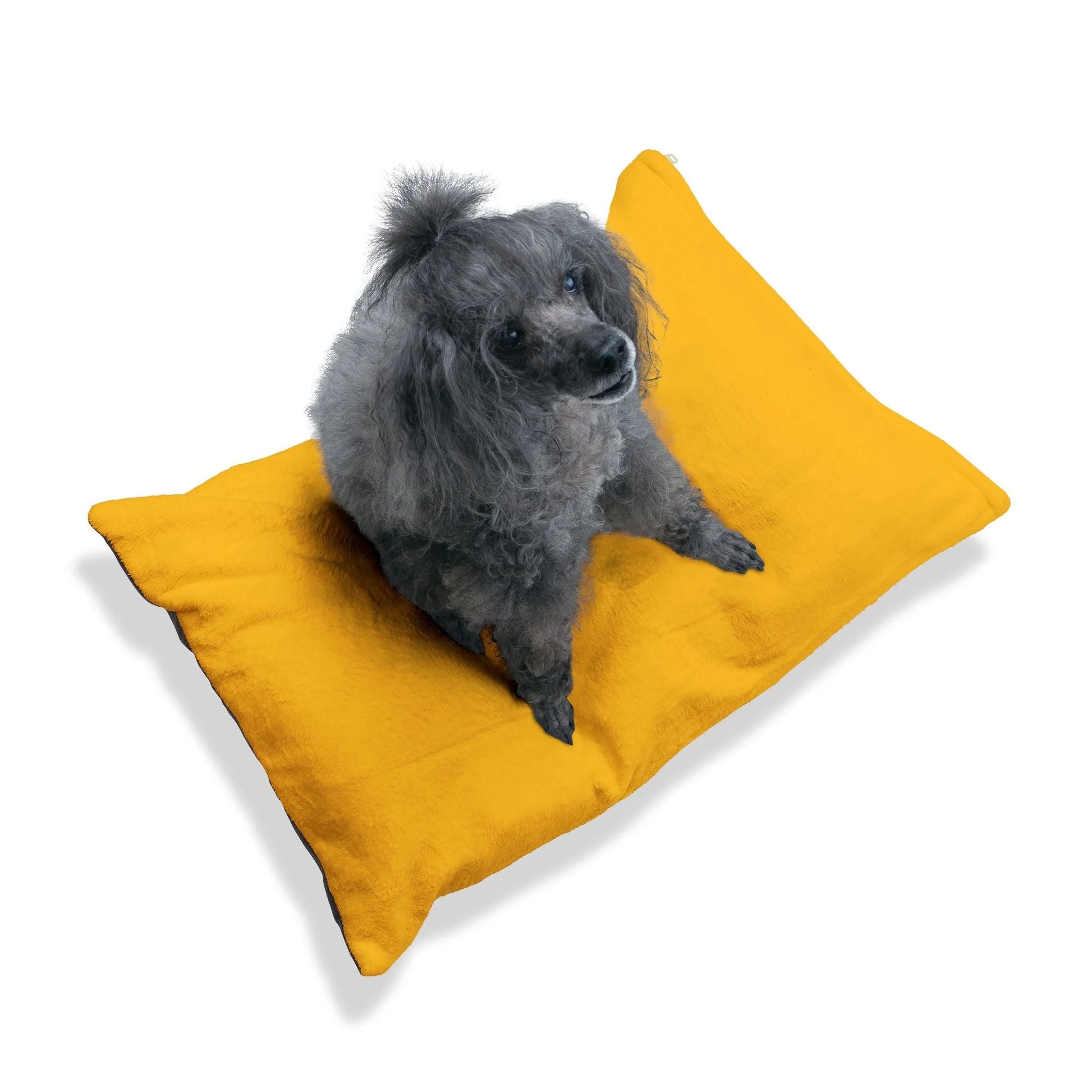 Buy The Best By Artsulli x Color Printify - Pet Bed - 2025