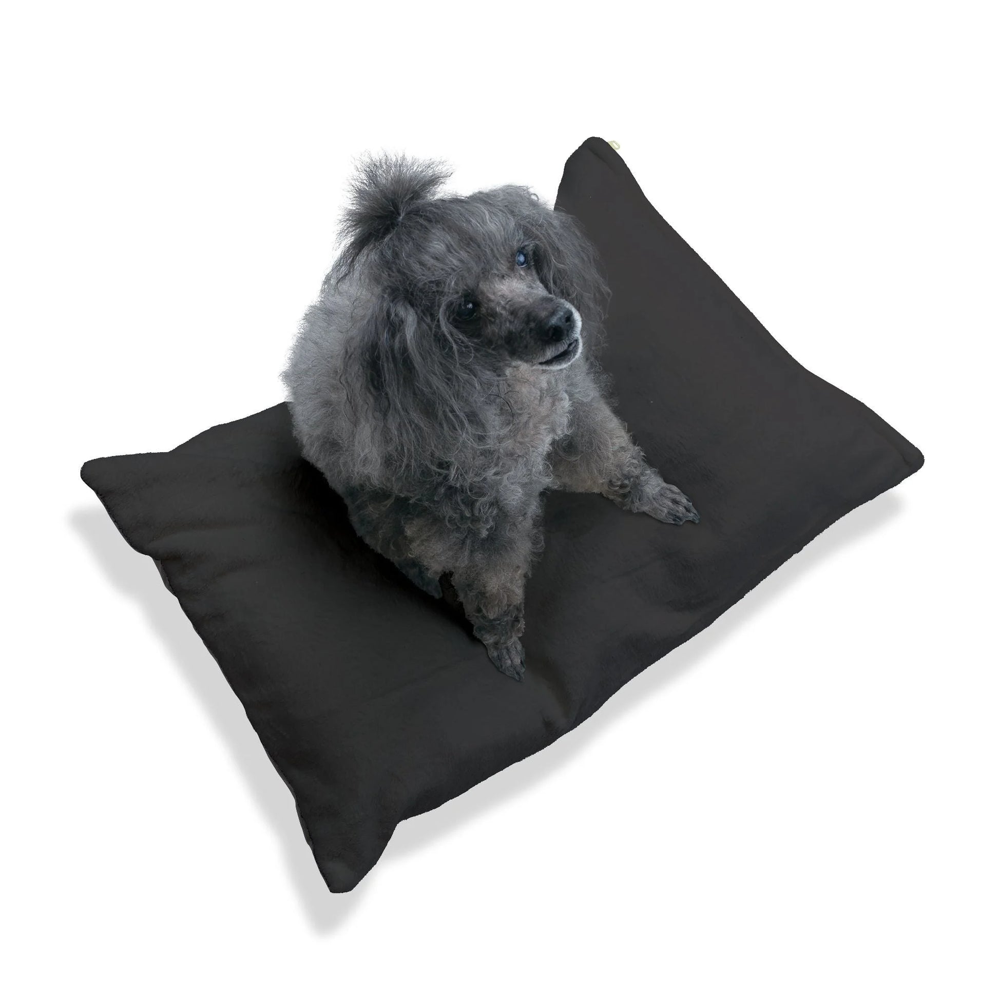 Buy The Best By Artsulli x Color Printify - Pet Bed - 2025