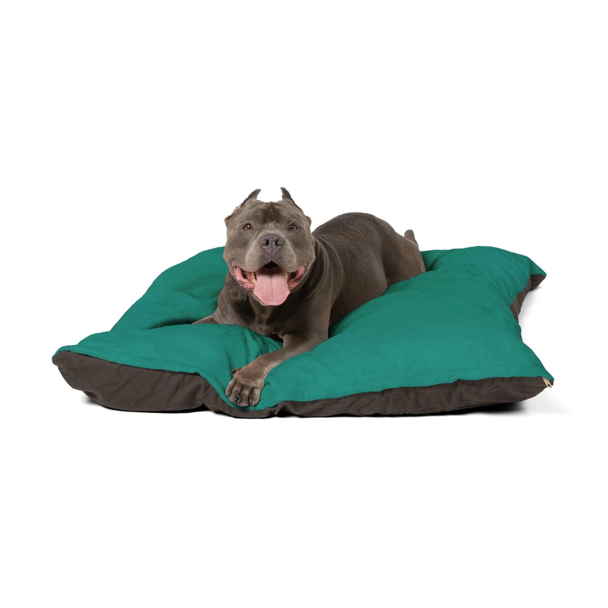 Buy The Best By Artsulli x Color Printify - Pet Bed - 2025
