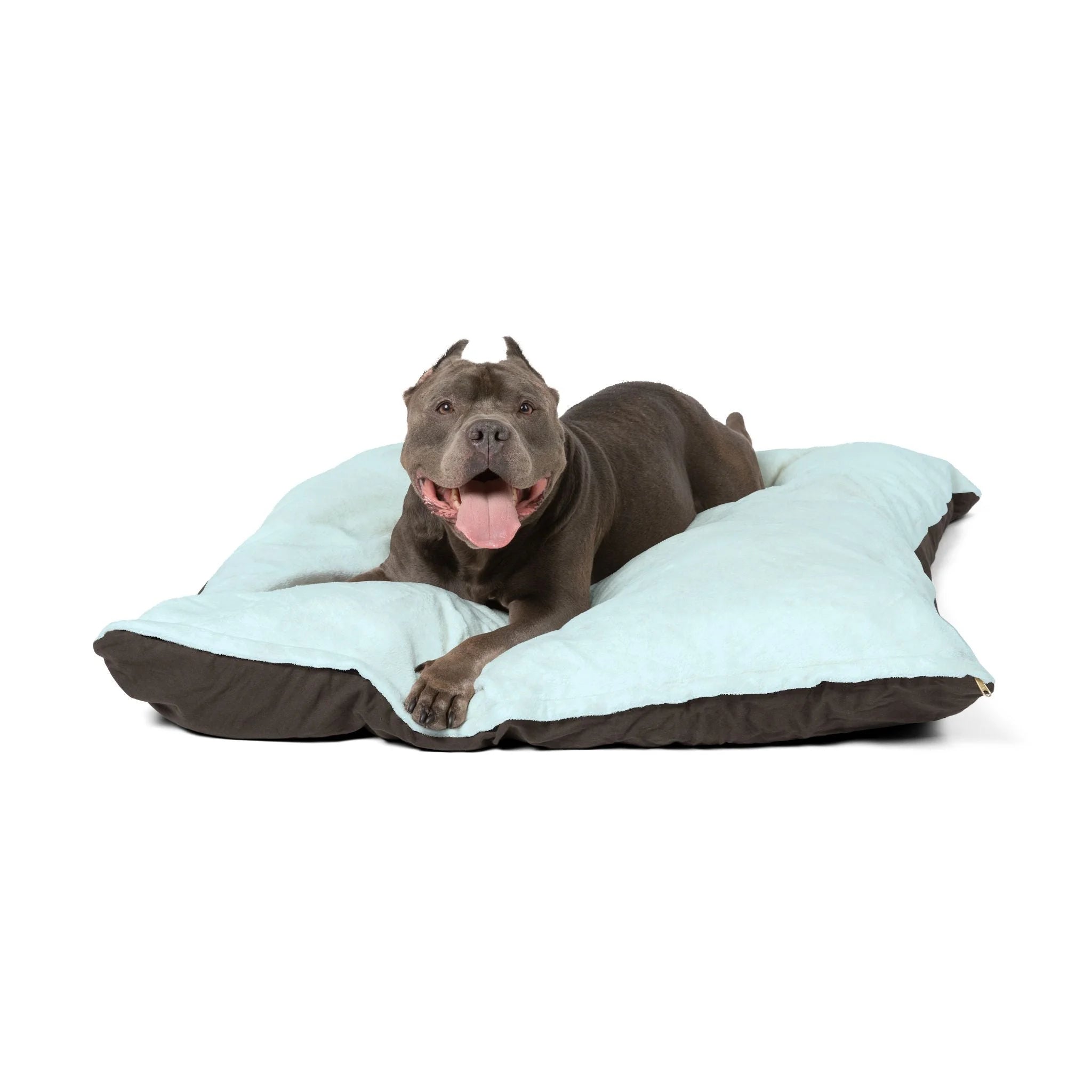 Buy The Best By Artsulli x Color Printify - Pet Bed - 2025