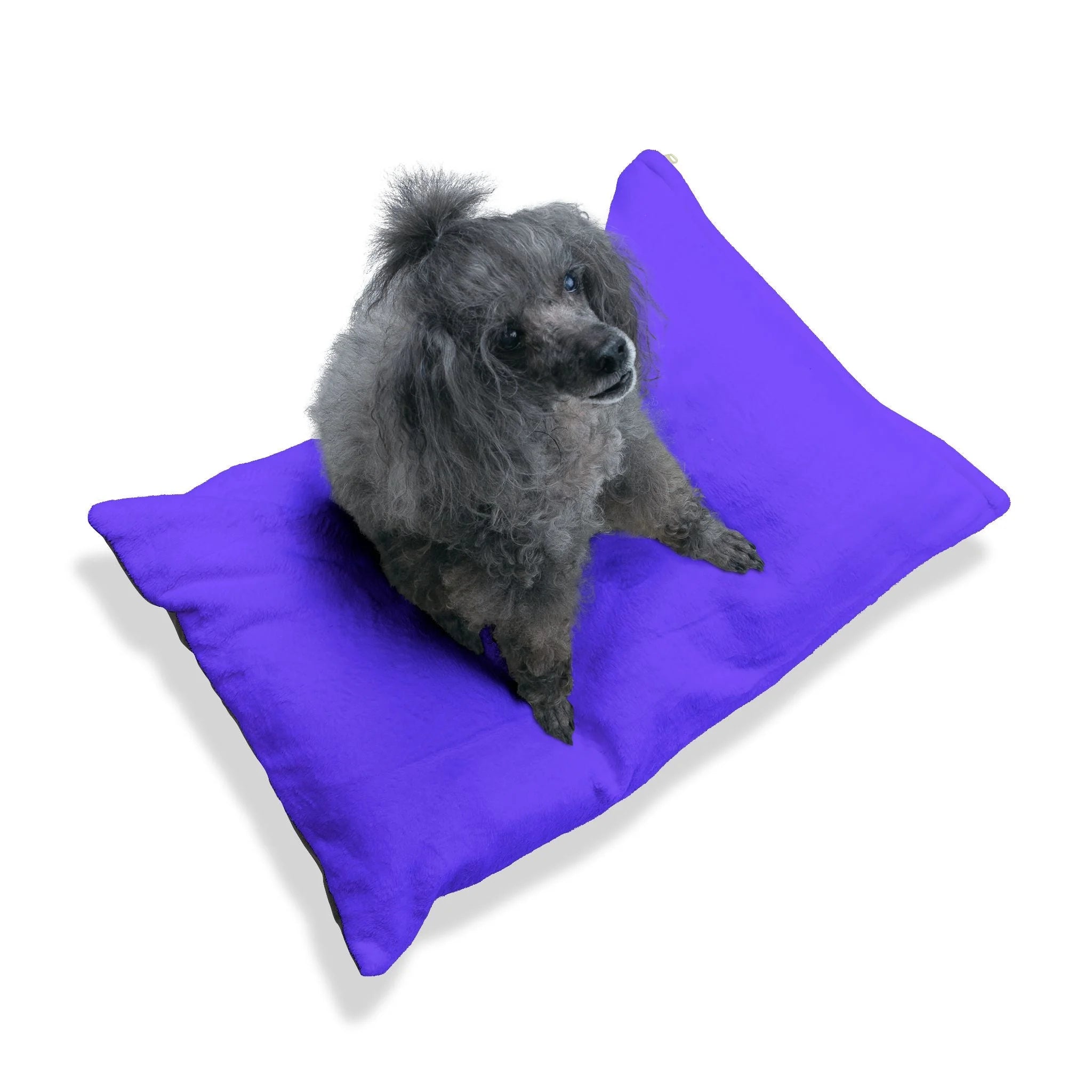 Buy The Best By Artsulli x Color Printify - Pet Bed - 2025