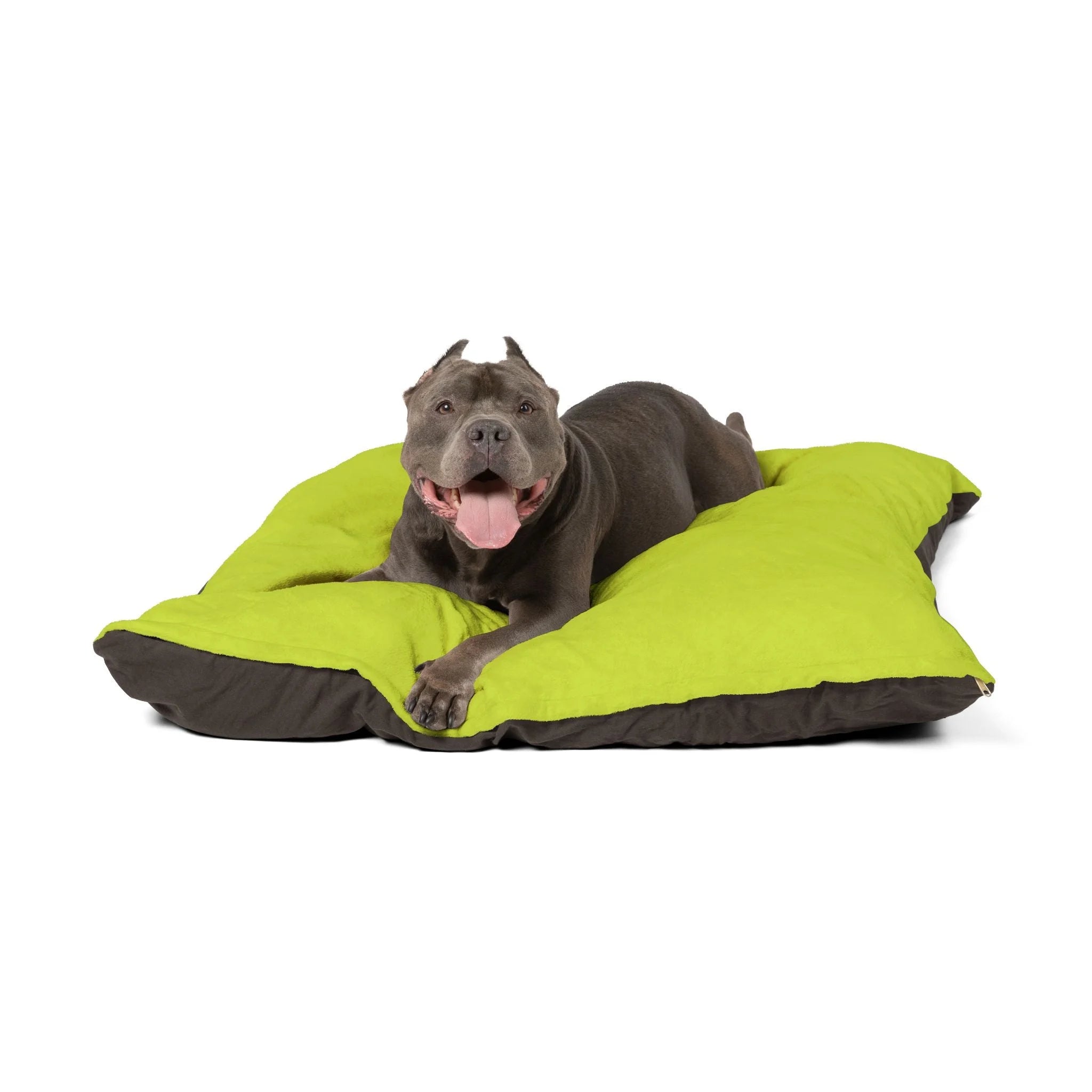 Buy The Best By Artsulli x Color Printify - Pet Bed - 2025