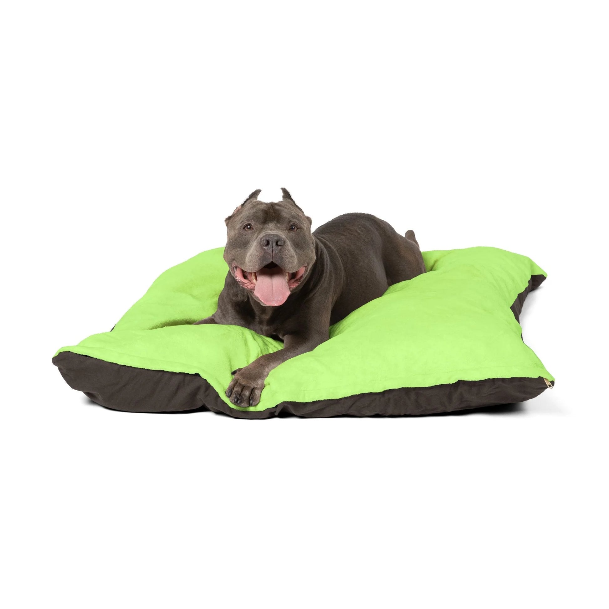 Buy The Best By Artsulli x Color Printify - Pet Bed - 2025