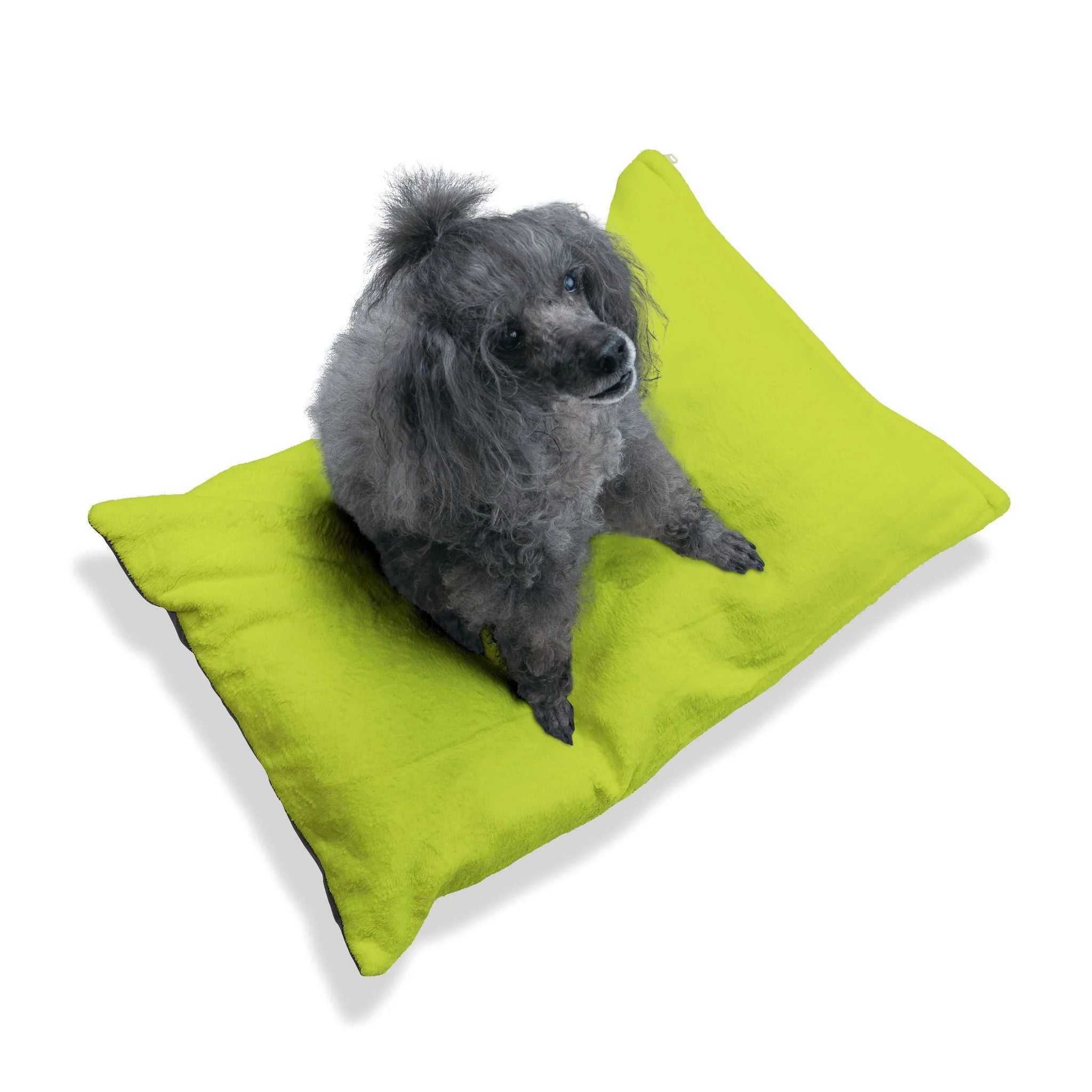 Buy The Best By Artsulli x Color Printify - Pet Bed - 2025