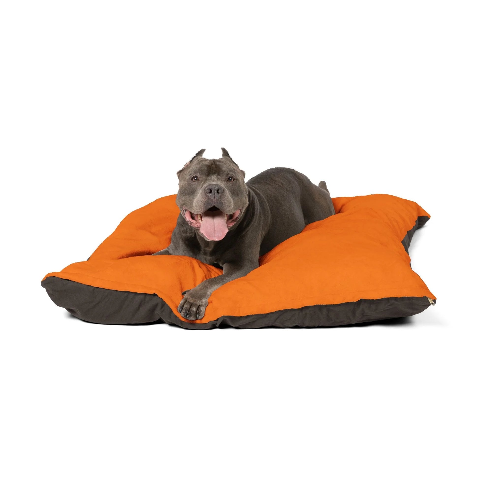 Buy The Best By Artsulli x Color Printify - Pet Bed - 2025