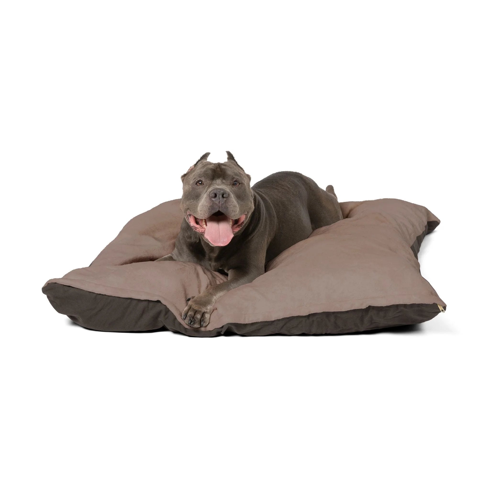 Buy The Best By Artsulli x Color Printify - Pet Bed - 2025