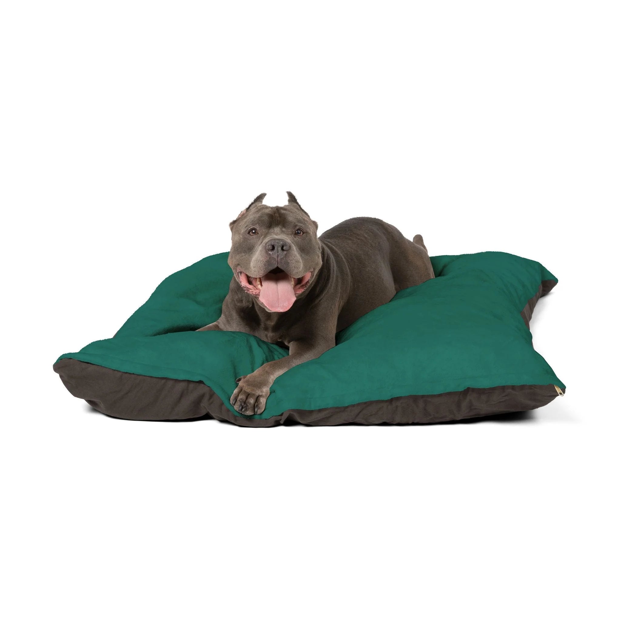 Buy The Best By Artsulli x Color Printify - Pet Bed - 2025