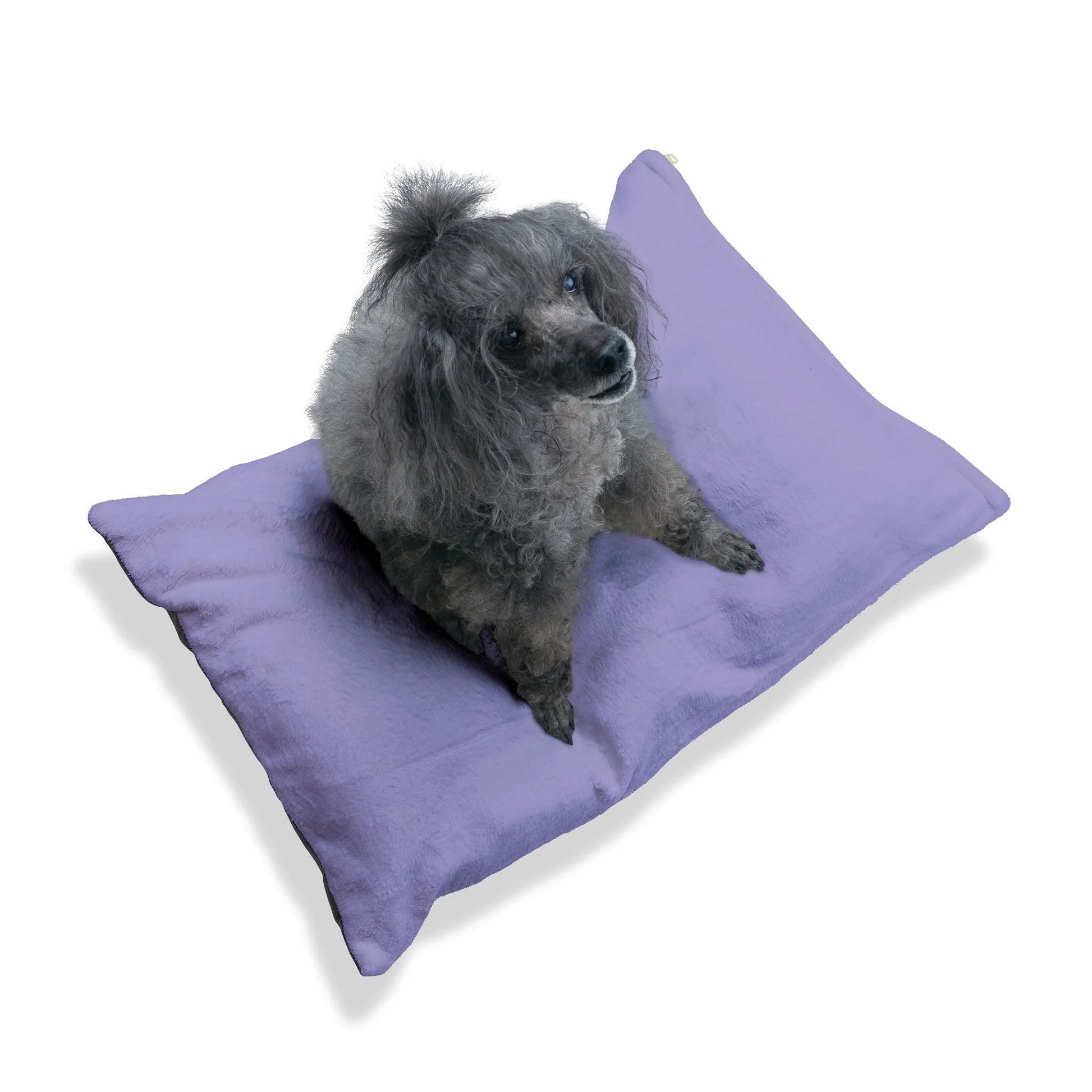 Buy The Best By Artsulli x Color Printify - Pet Bed - 2025