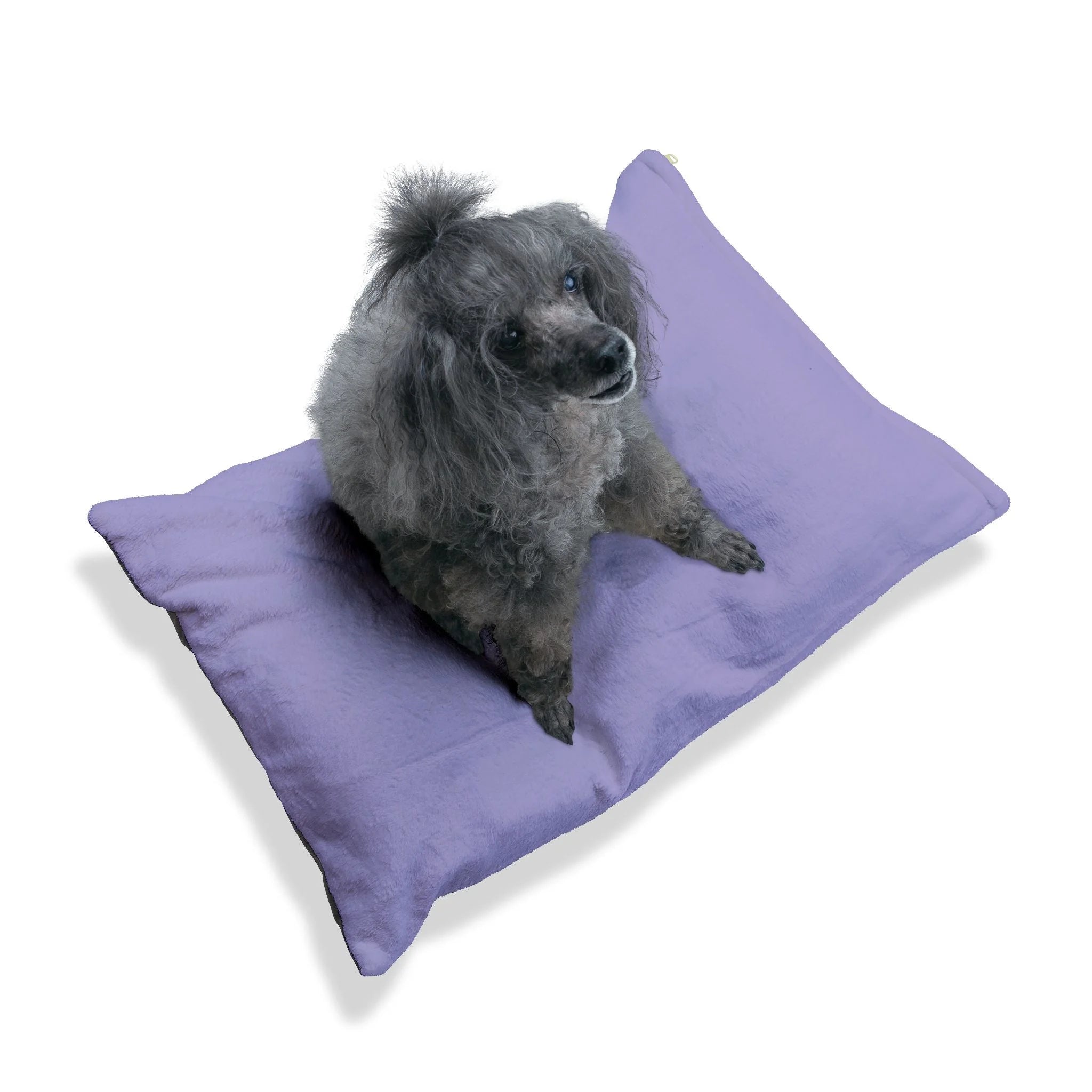 Buy The Best By Artsulli x Color Printify - Pet Bed - 2025