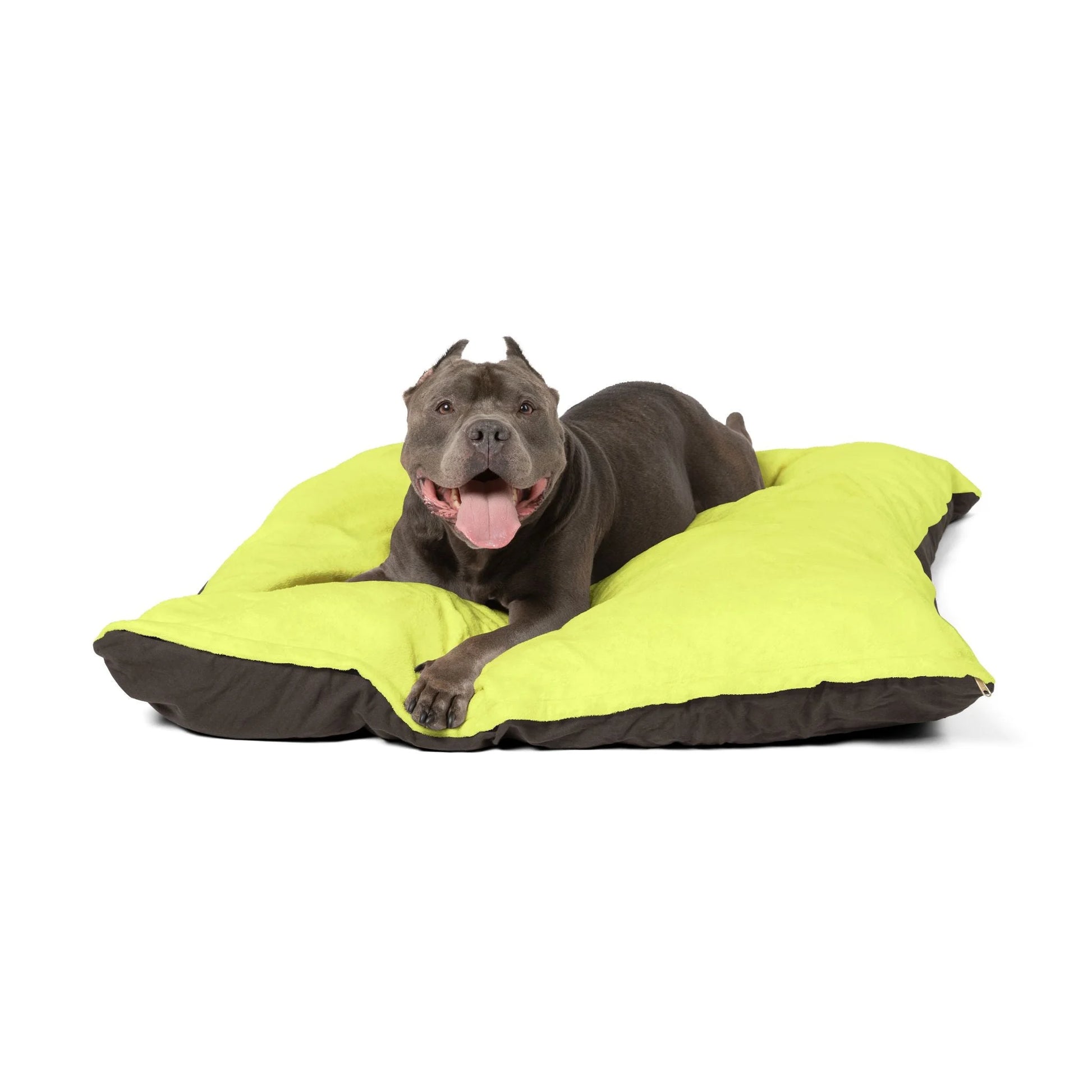 Buy The Best By Artsulli x Color Printify - Pet Bed - 2025