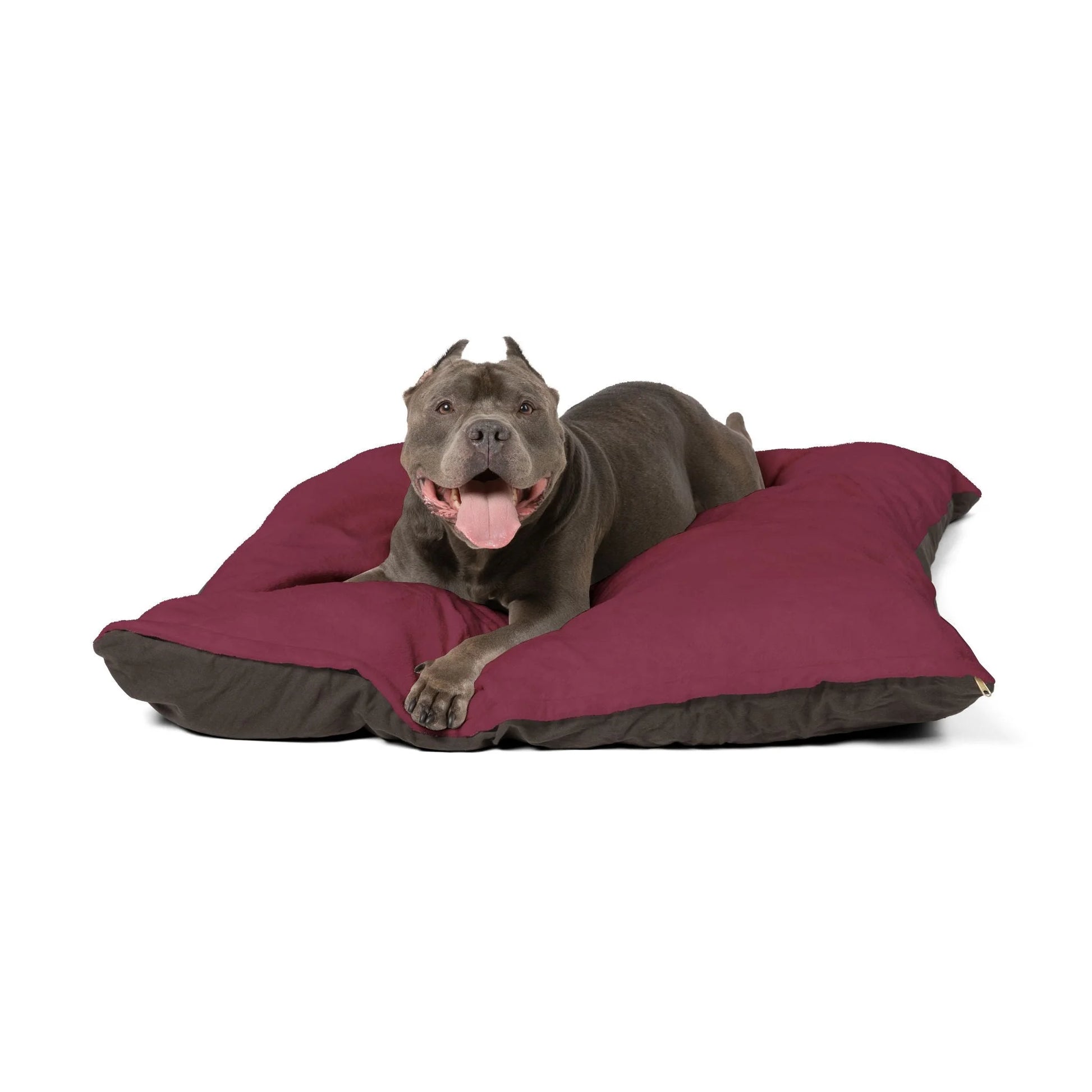 Buy The Best By Artsulli x Color Printify - Pet Bed - 2025