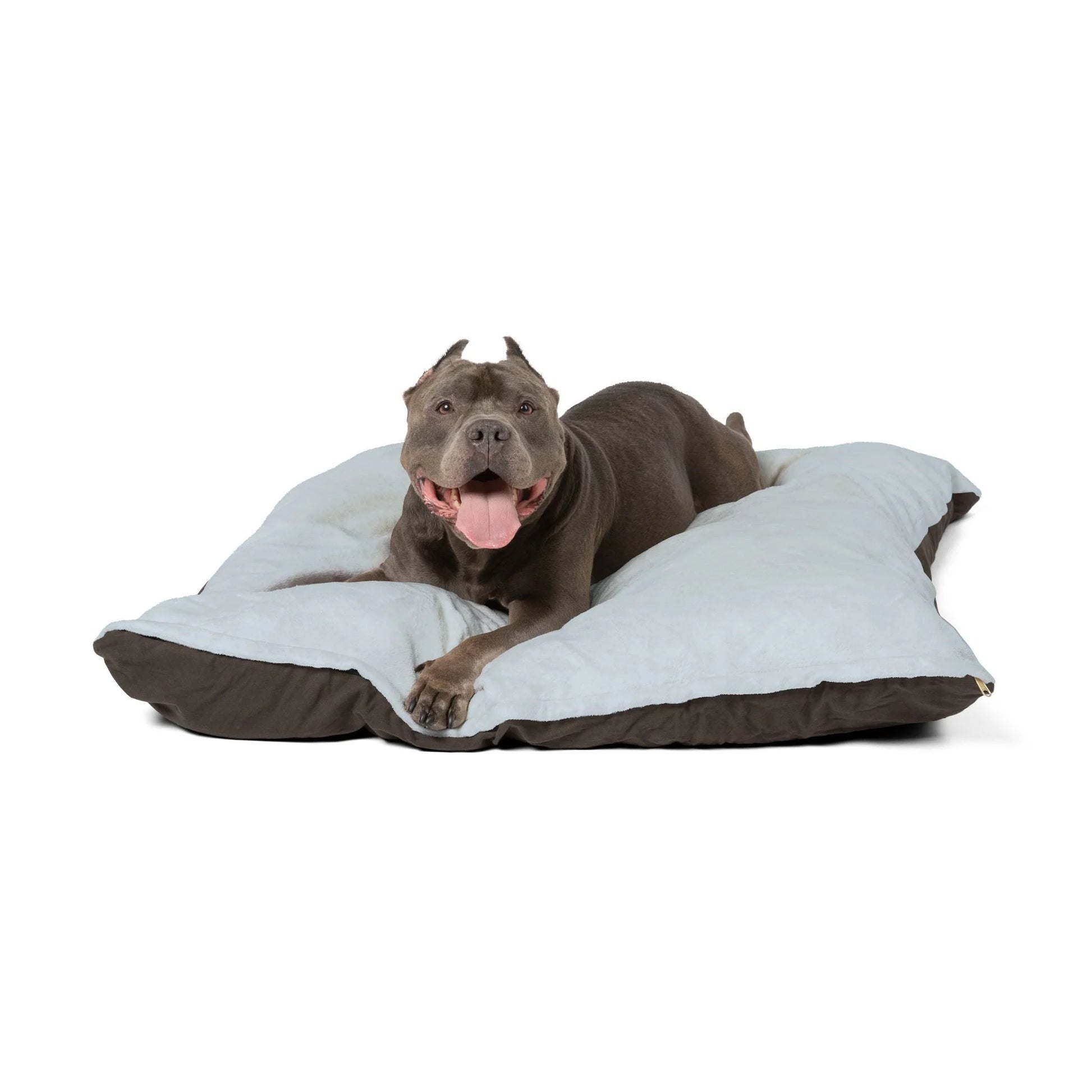 Buy The Best By Artsulli x Color Printify - Pet Bed - 2025