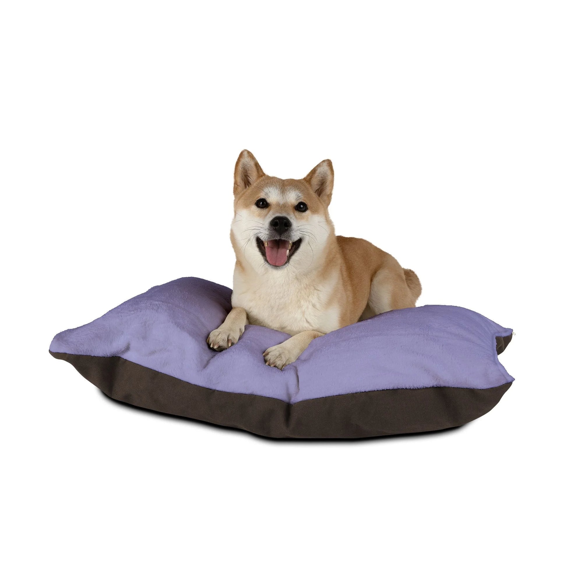 Buy The Best By Artsulli x Color Printify - Pet Bed - 2025
