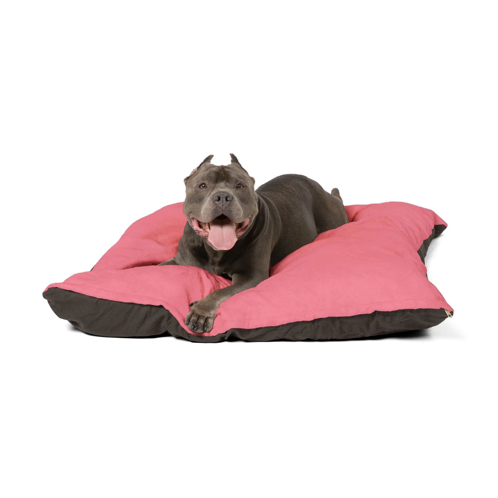 Buy The Best By Artsulli x Color Printify - Pet Bed - 2025
