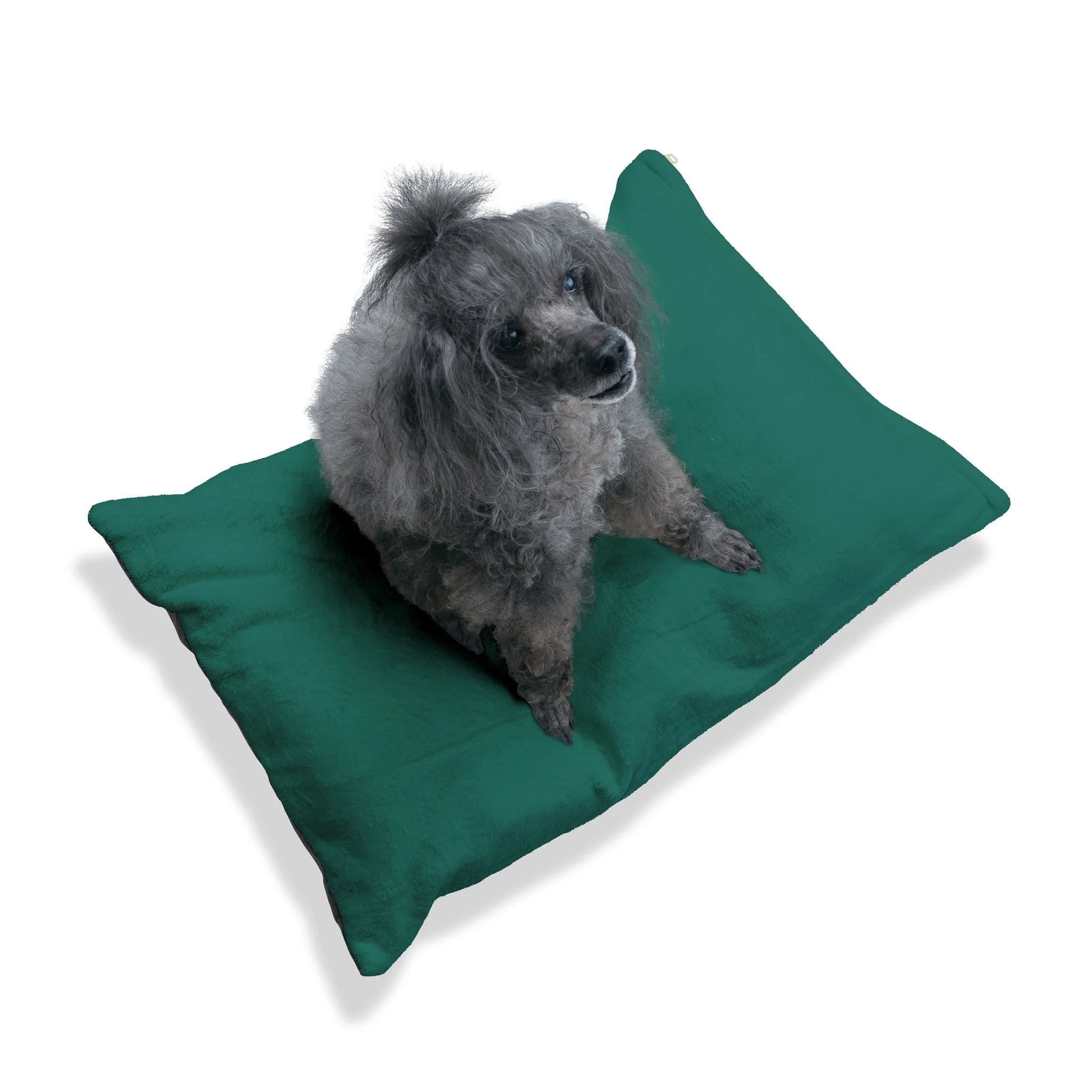 Buy The Best By Artsulli x Color Printify - Pet Bed - 2025