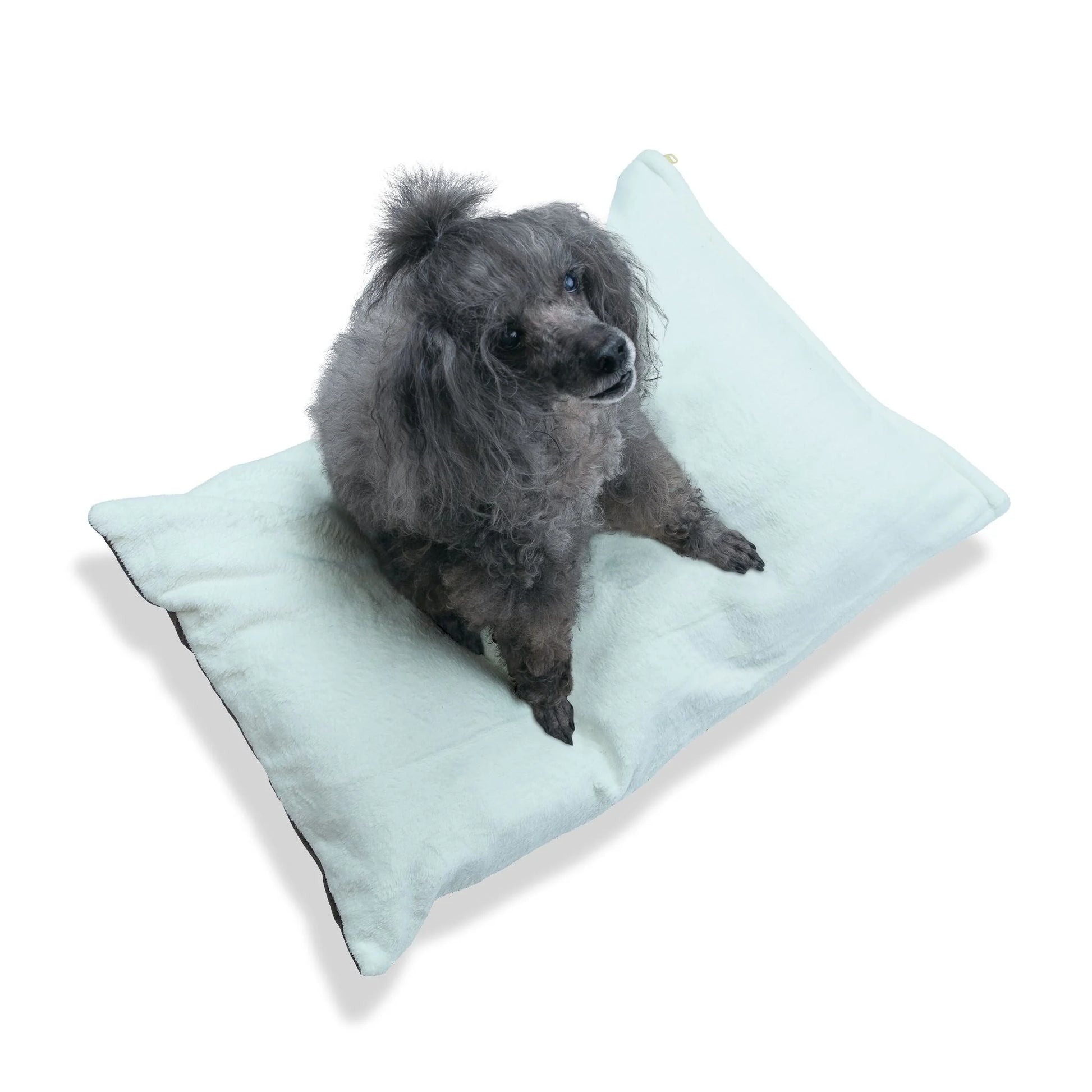 Buy The Best By Artsulli x Color Printify - Pet Bed - 2025