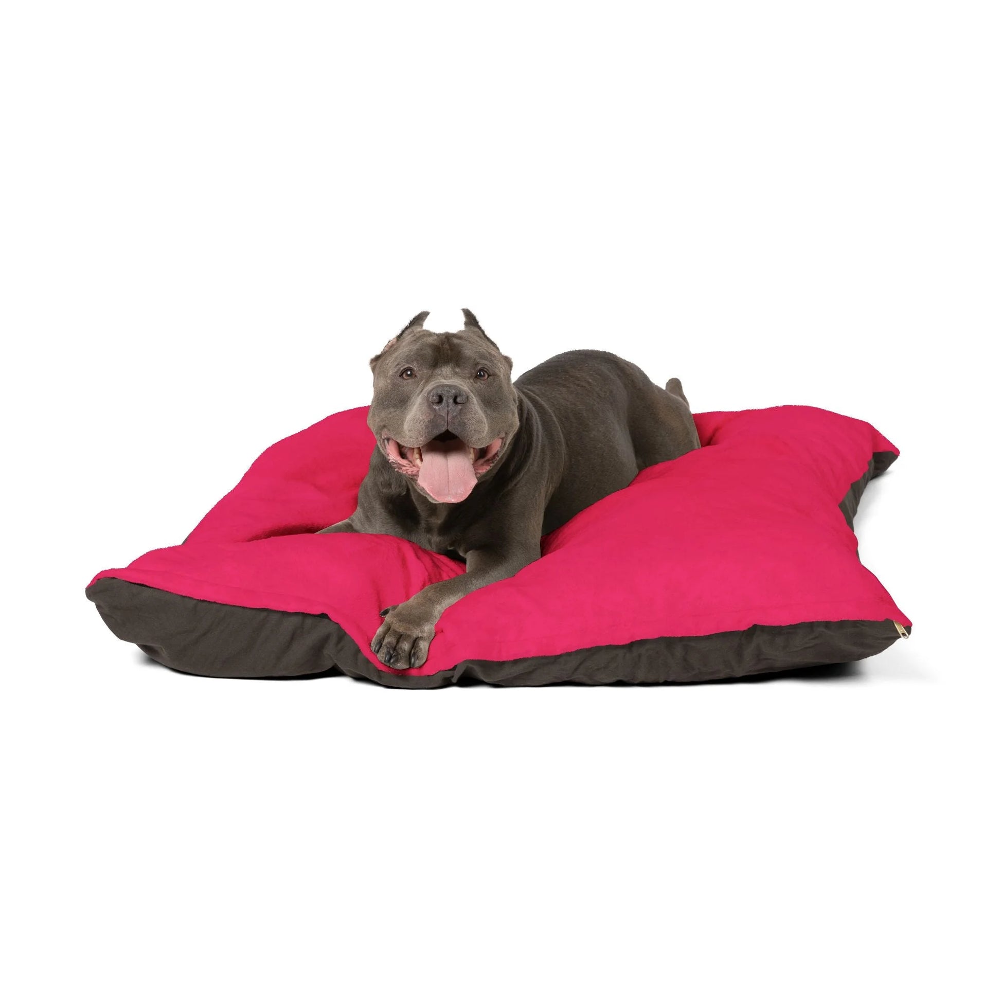 Buy The Best By Artsulli x Color Printify - Pet Bed - 2025