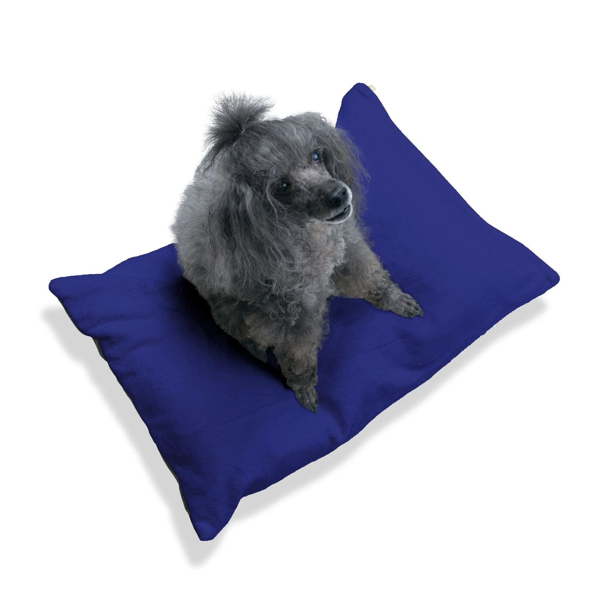 Buy The Best By Artsulli x Color Printify - Pet Bed - 2025