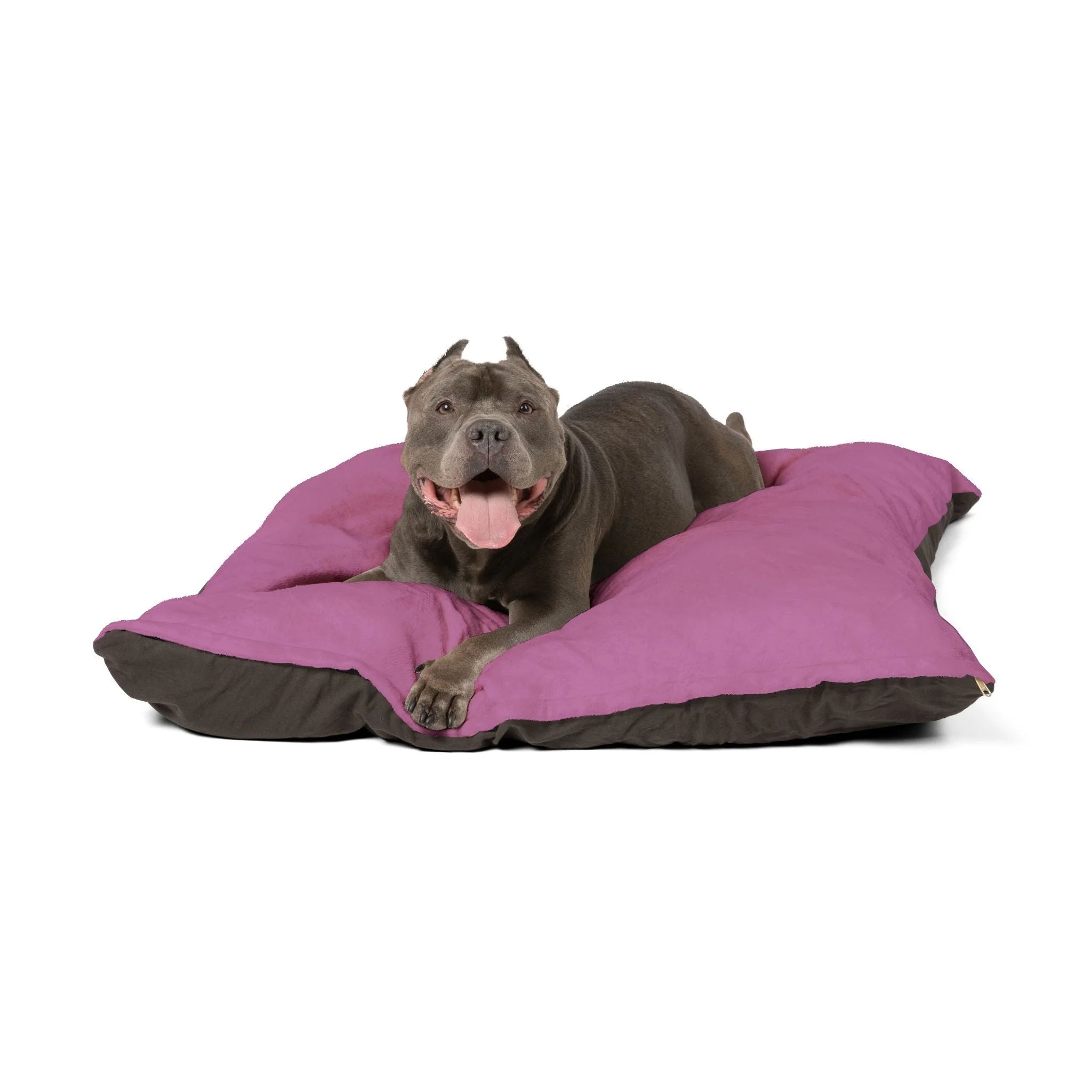Buy The Best By Artsulli x Color Printify - Pet Bed - 2025