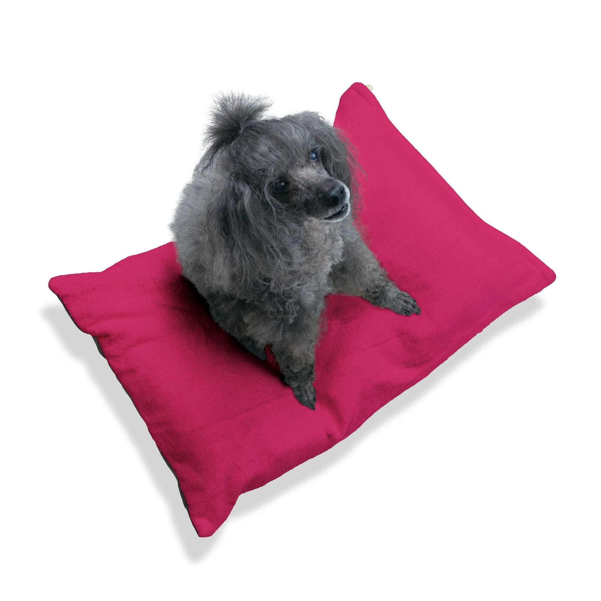 Buy The Best By Artsulli x Color Printify - Pet Bed - 2025