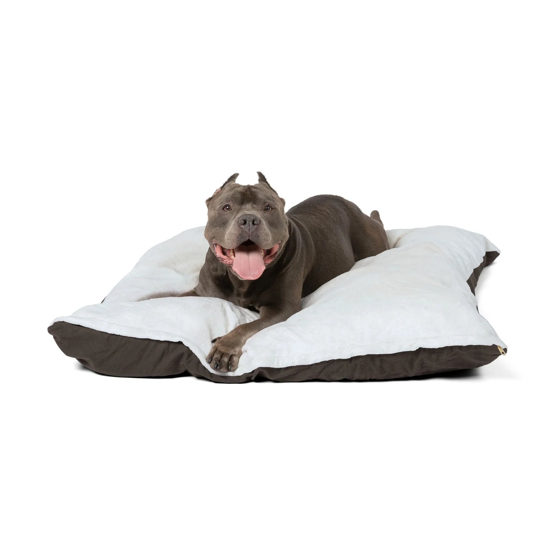 Buy The Best By Artsulli x Color Printify - Pet Bed - 2025