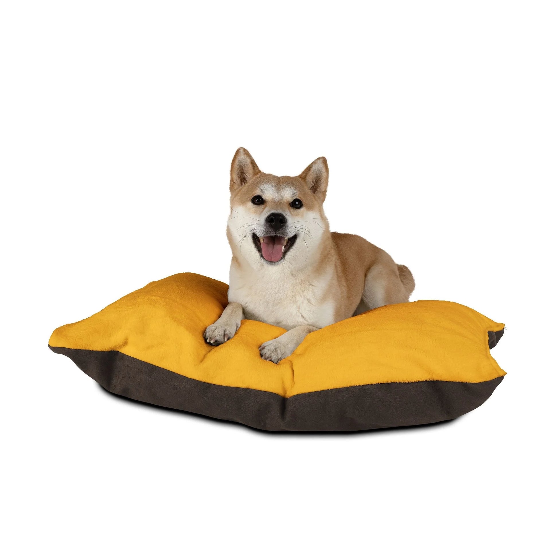 Buy The Best By Artsulli x Color Printify - Pet Bed - 2025