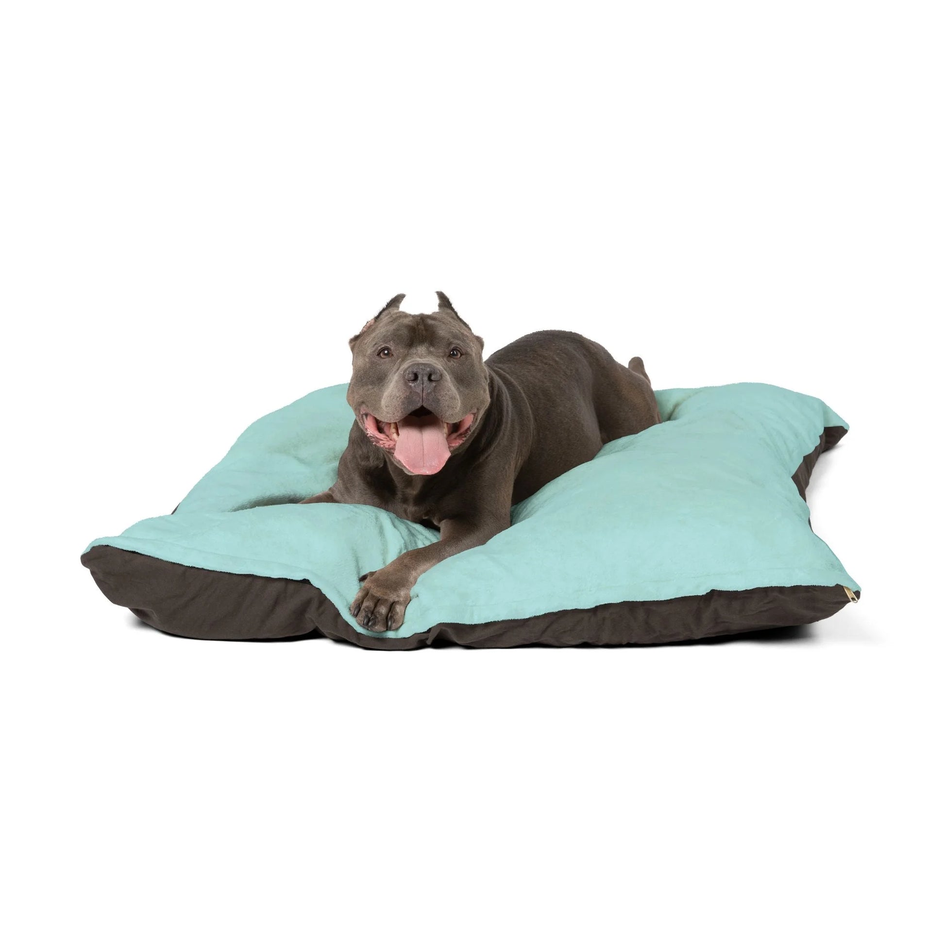 Buy The Best By Artsulli x Color Printify - Pet Bed - 2025