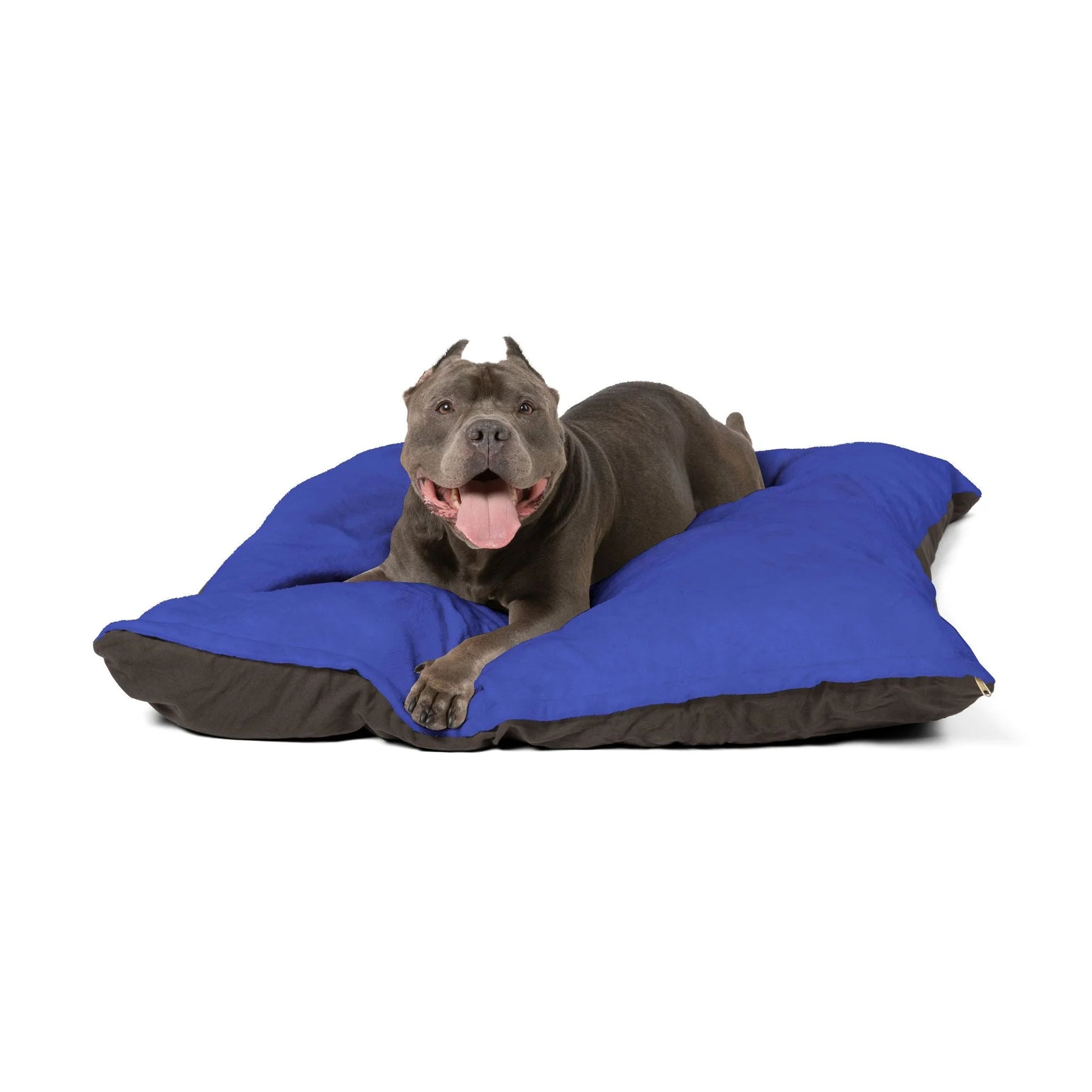 Buy The Best By Artsulli x Color Printify - Pet Bed - 2025