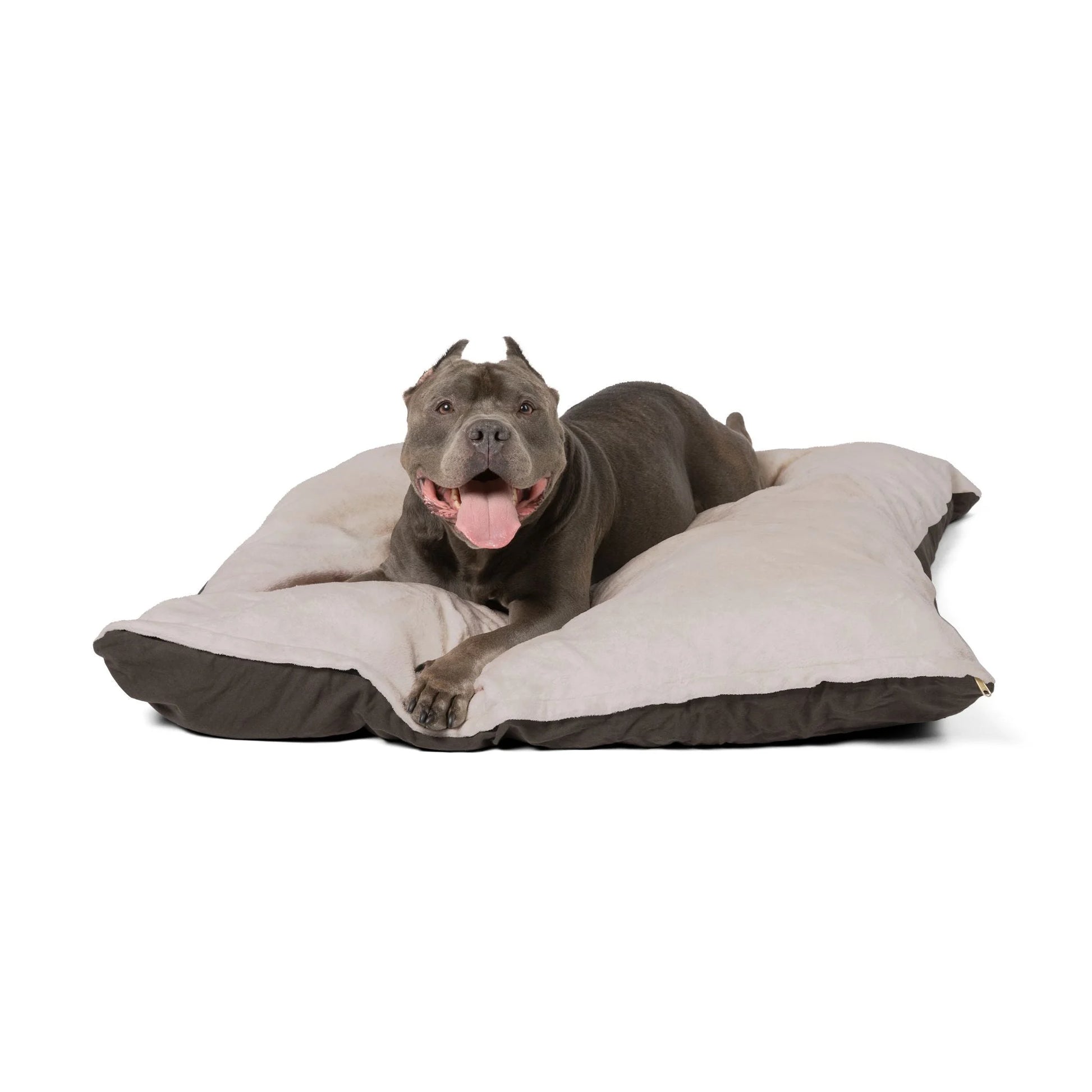 Buy The Best By Artsulli x Color Printify - Pet Bed - 2025