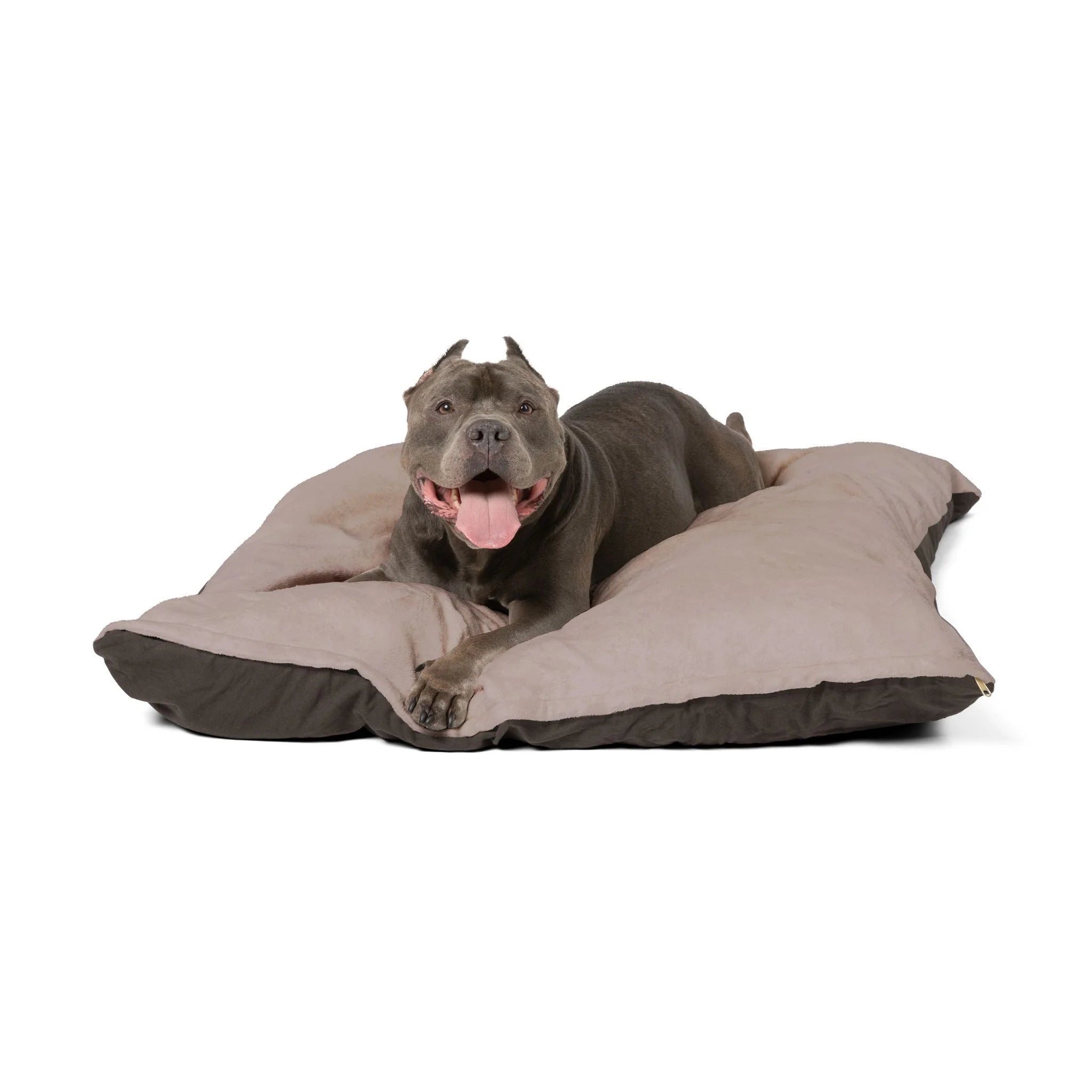 Buy The Best By Artsulli x Color Printify - Pet Bed - 2025