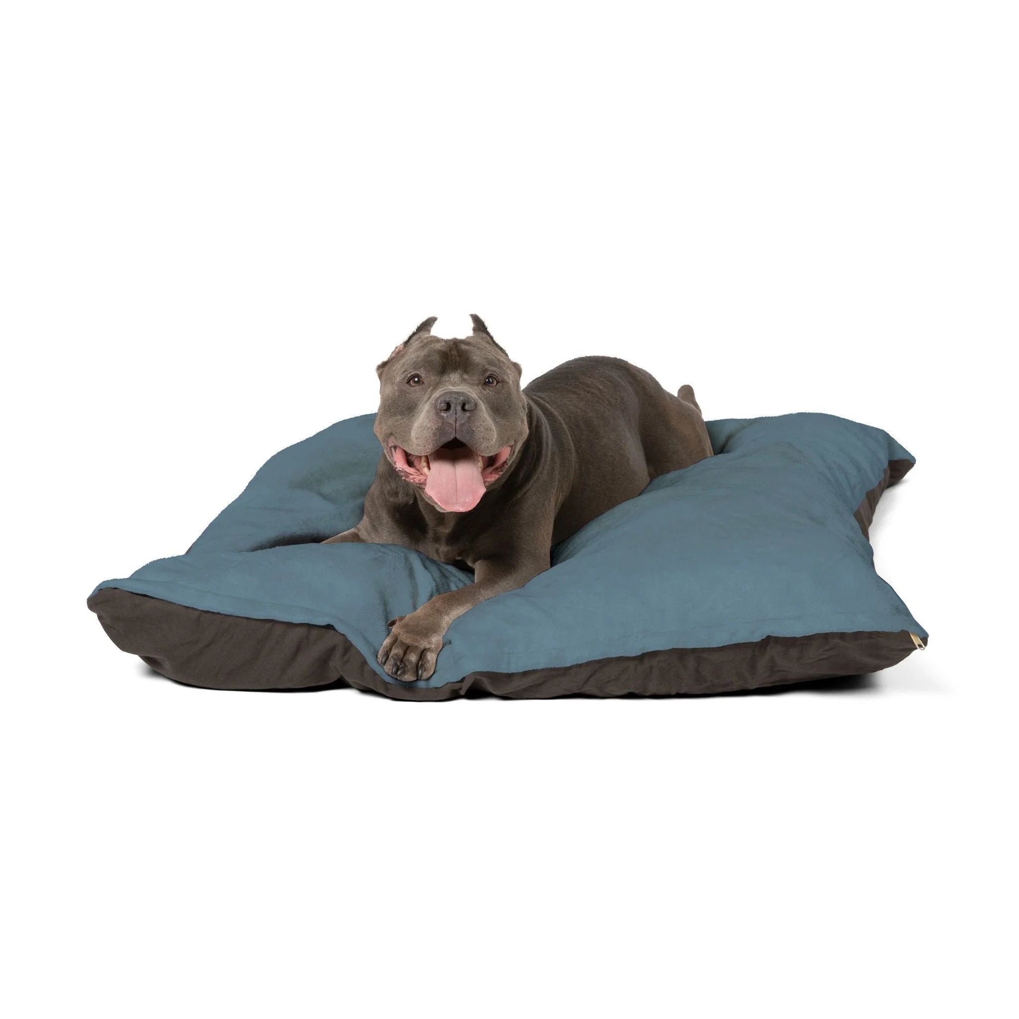Buy The Best By Artsulli x Color Printify - Pet Bed - 2025