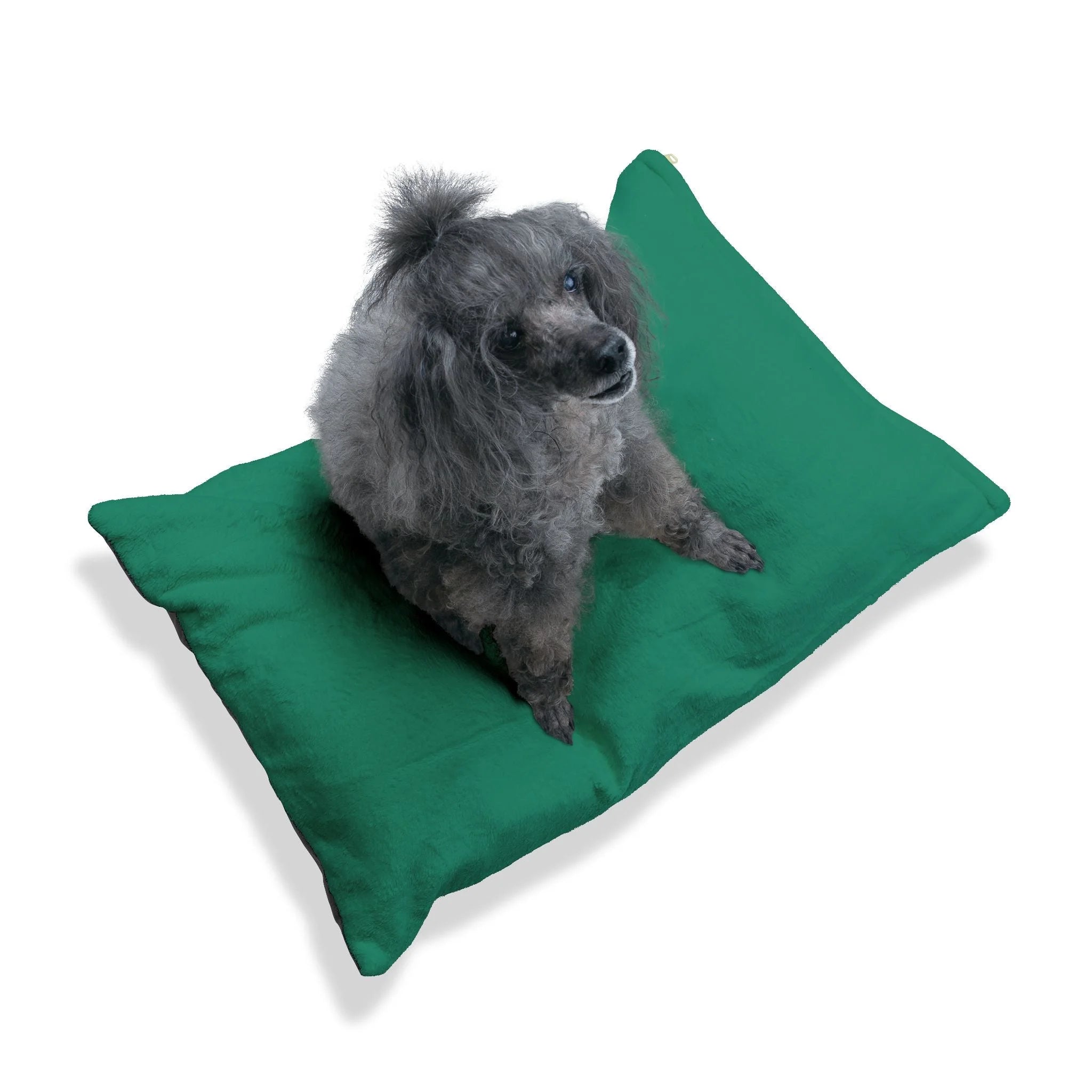 Buy The Best By Artsulli x Color Printify - Pet Bed - 2025