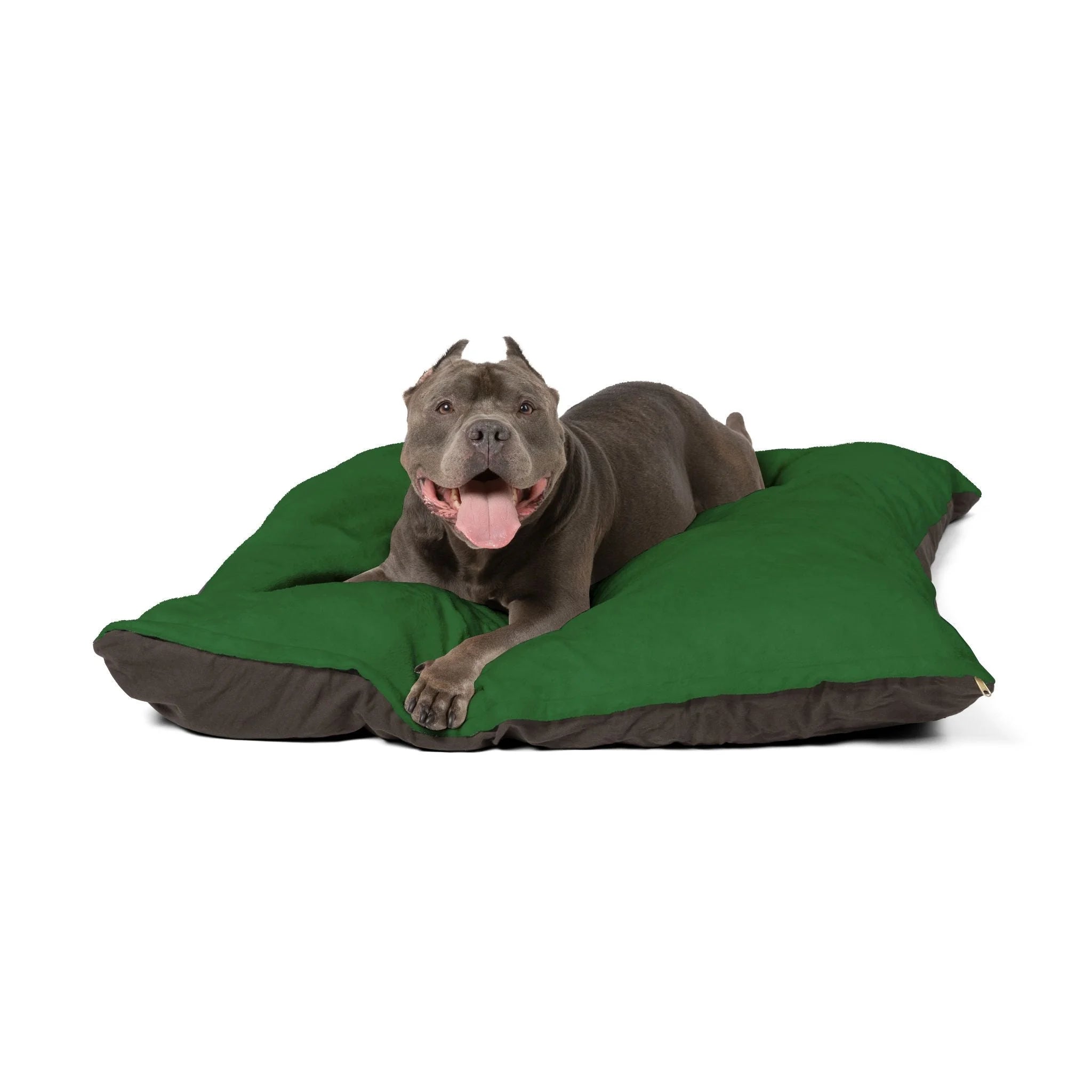 Buy The Best By Artsulli x Color Printify - Pet Bed - 2025