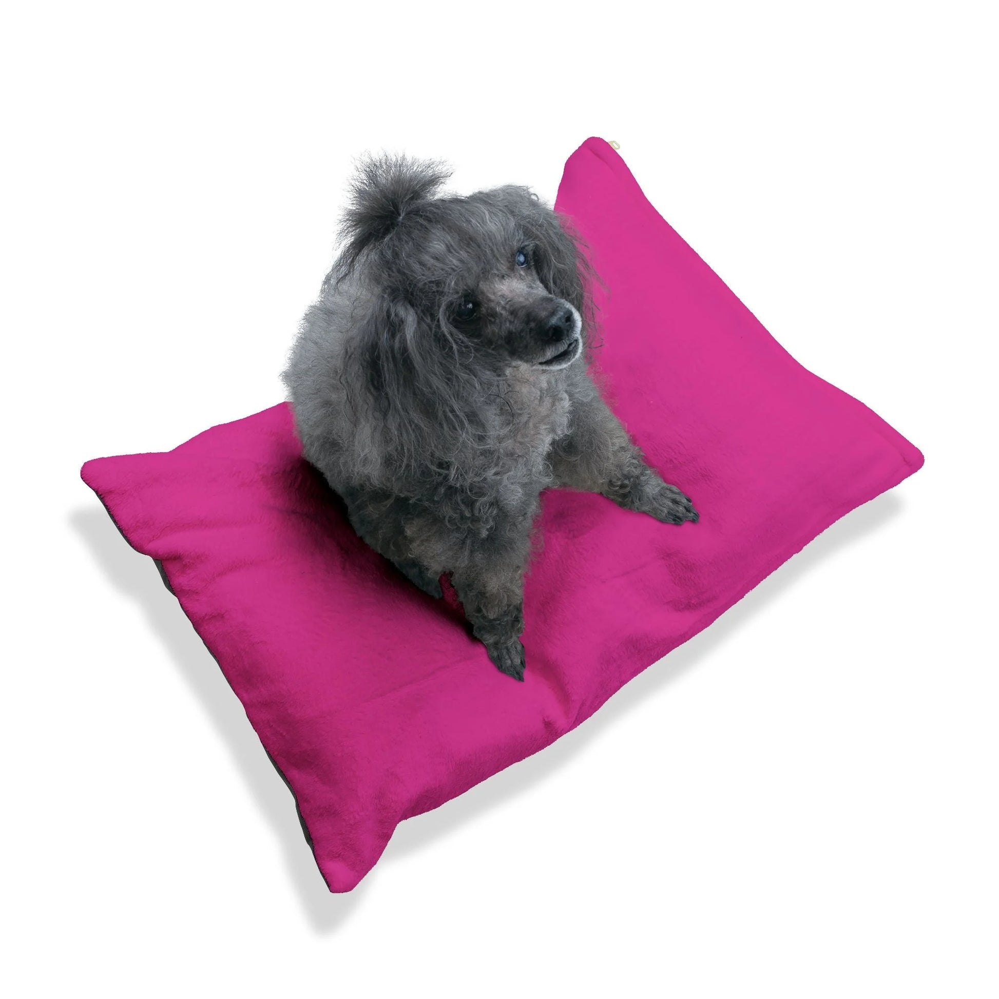 Buy The Best By Artsulli x Color Printify - Pet Bed - 2025