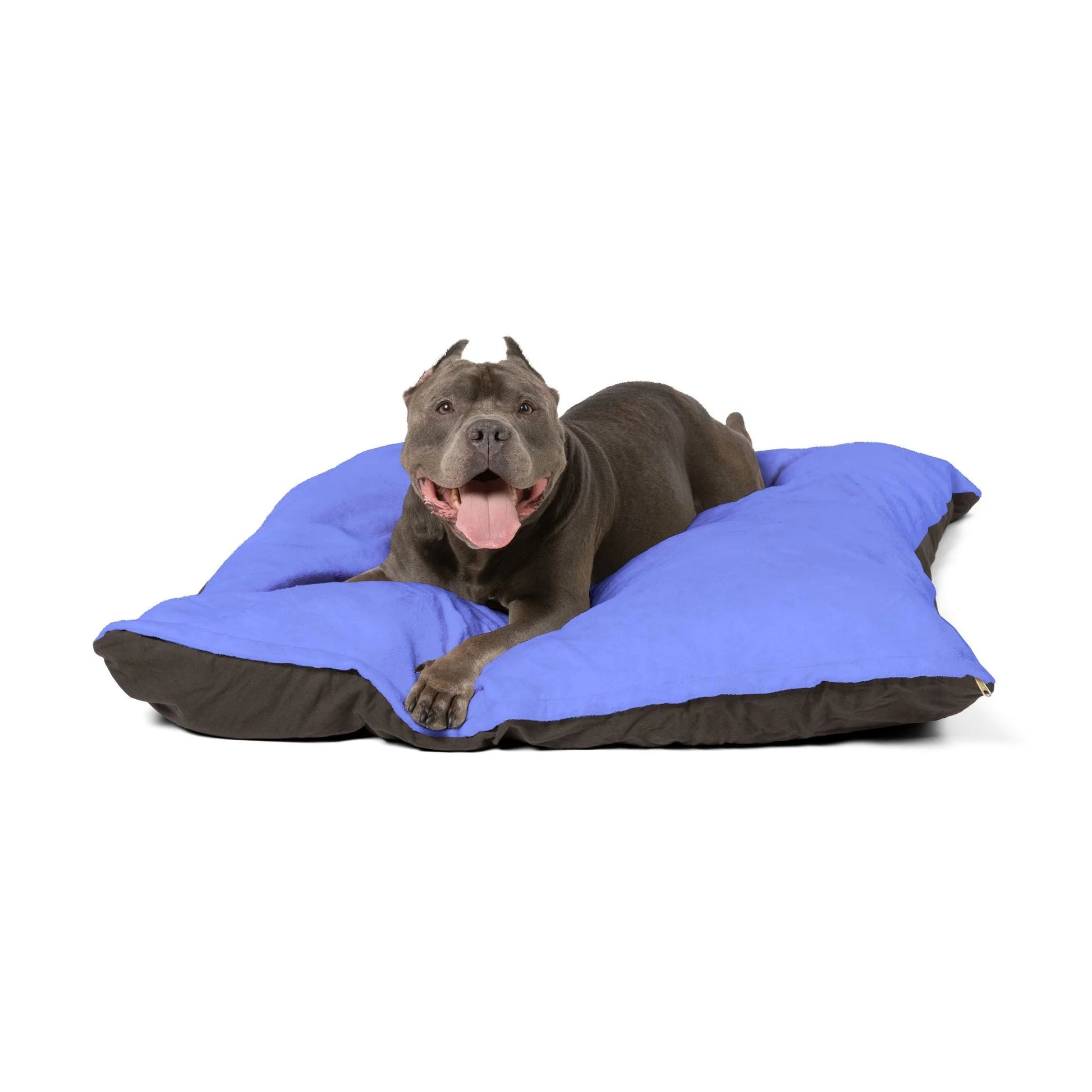 Buy The Best By Artsulli x Color Printify - Pet Bed - 2025