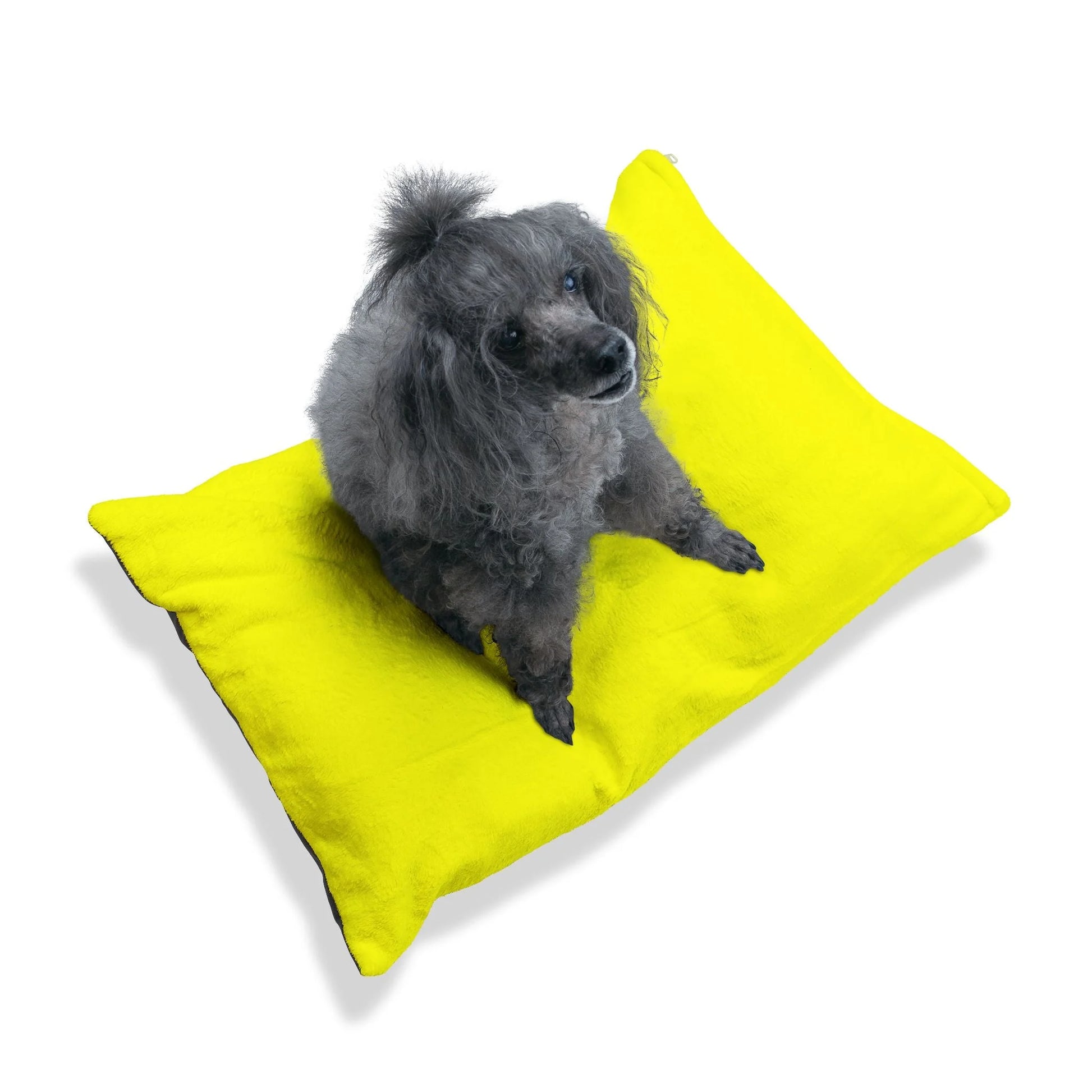 Buy The Best By Artsulli x Color Printify - Pet Bed - 2025