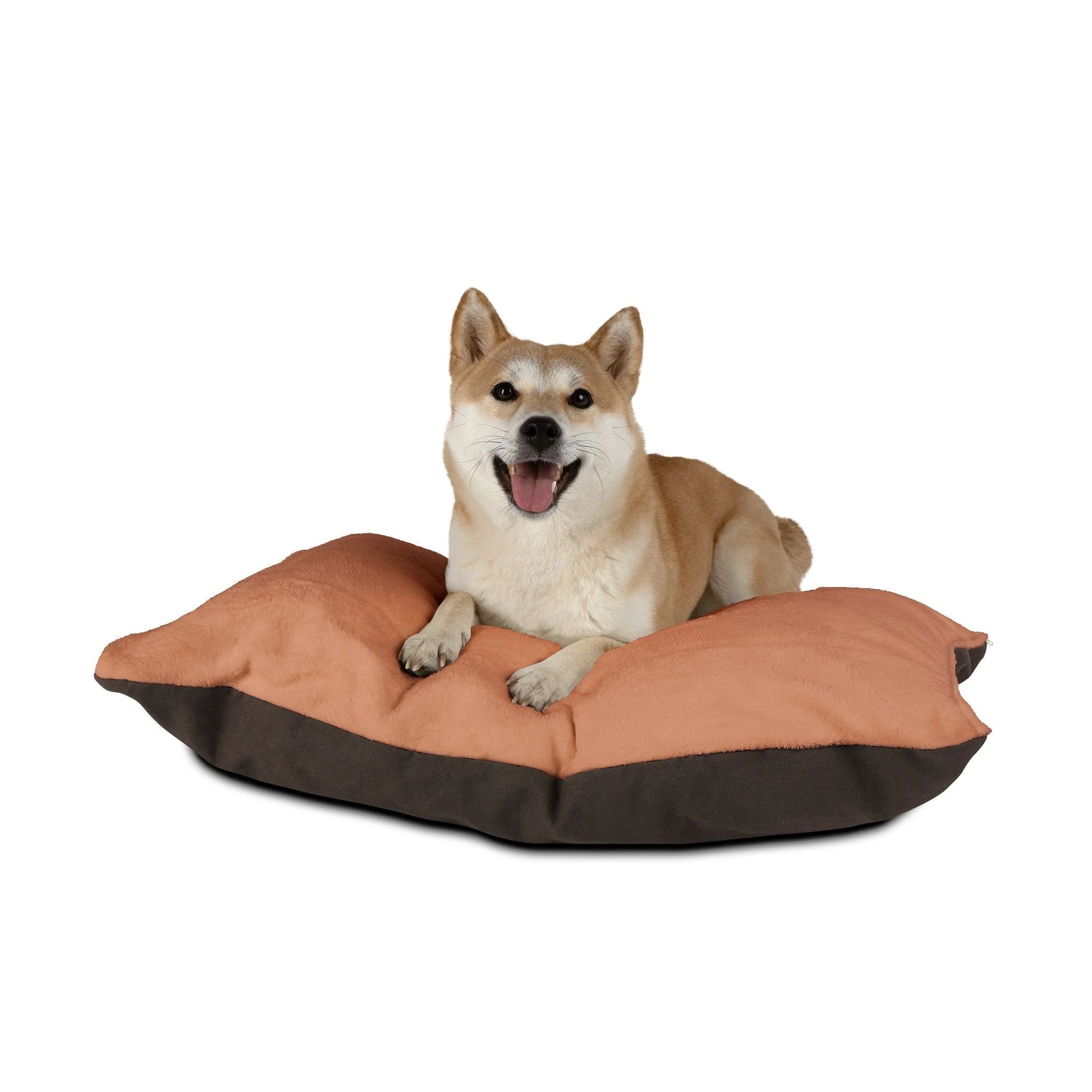 Buy The Best By Artsulli x Color Printify - Pet Bed - 2025