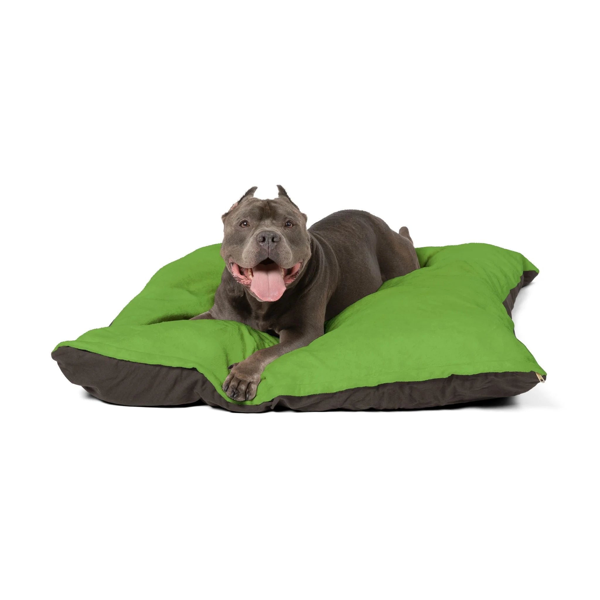 Buy The Best By Artsulli x Color Printify - Pet Bed - 2025