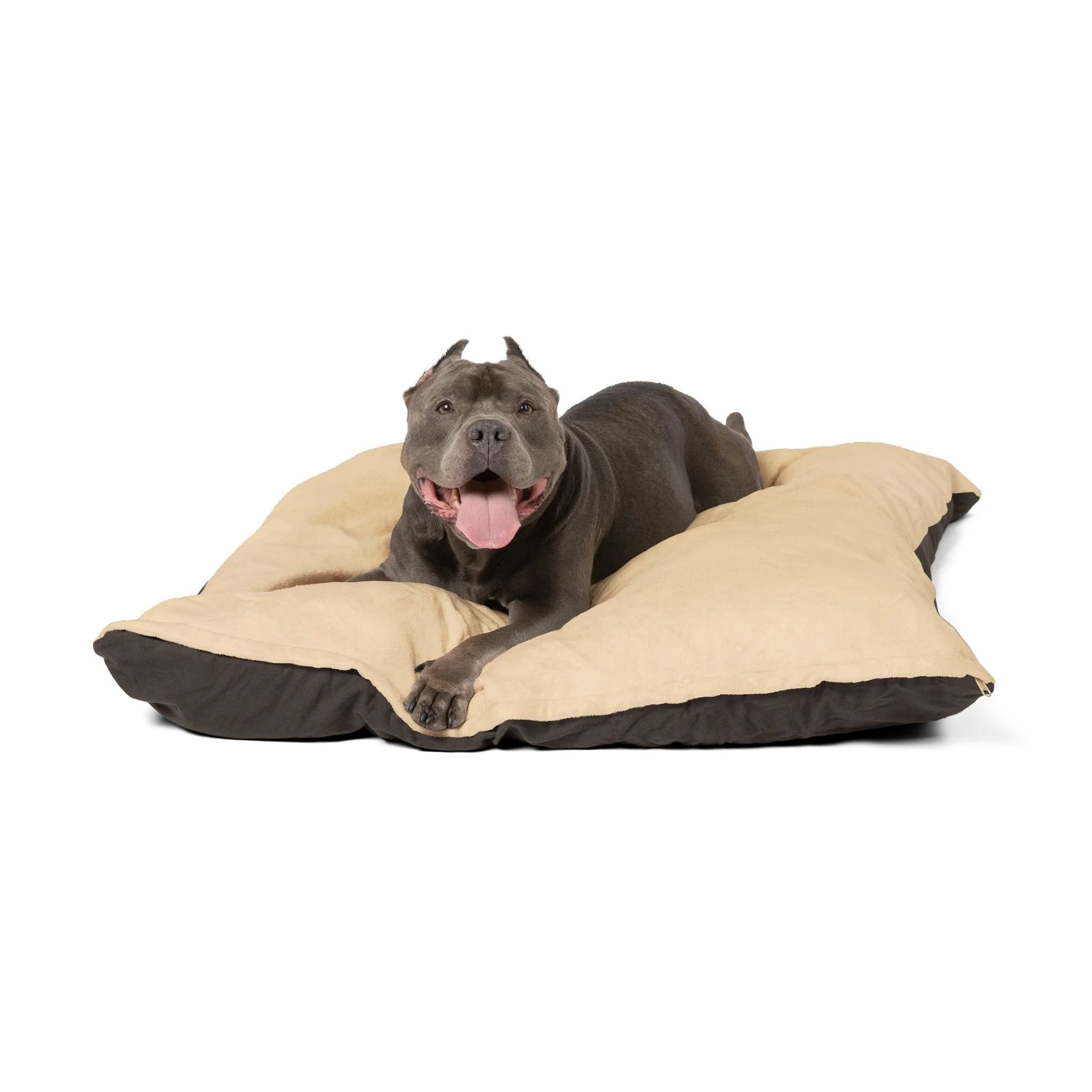 Buy The Best By Artsulli x Color Printify - Pet Bed - 2025