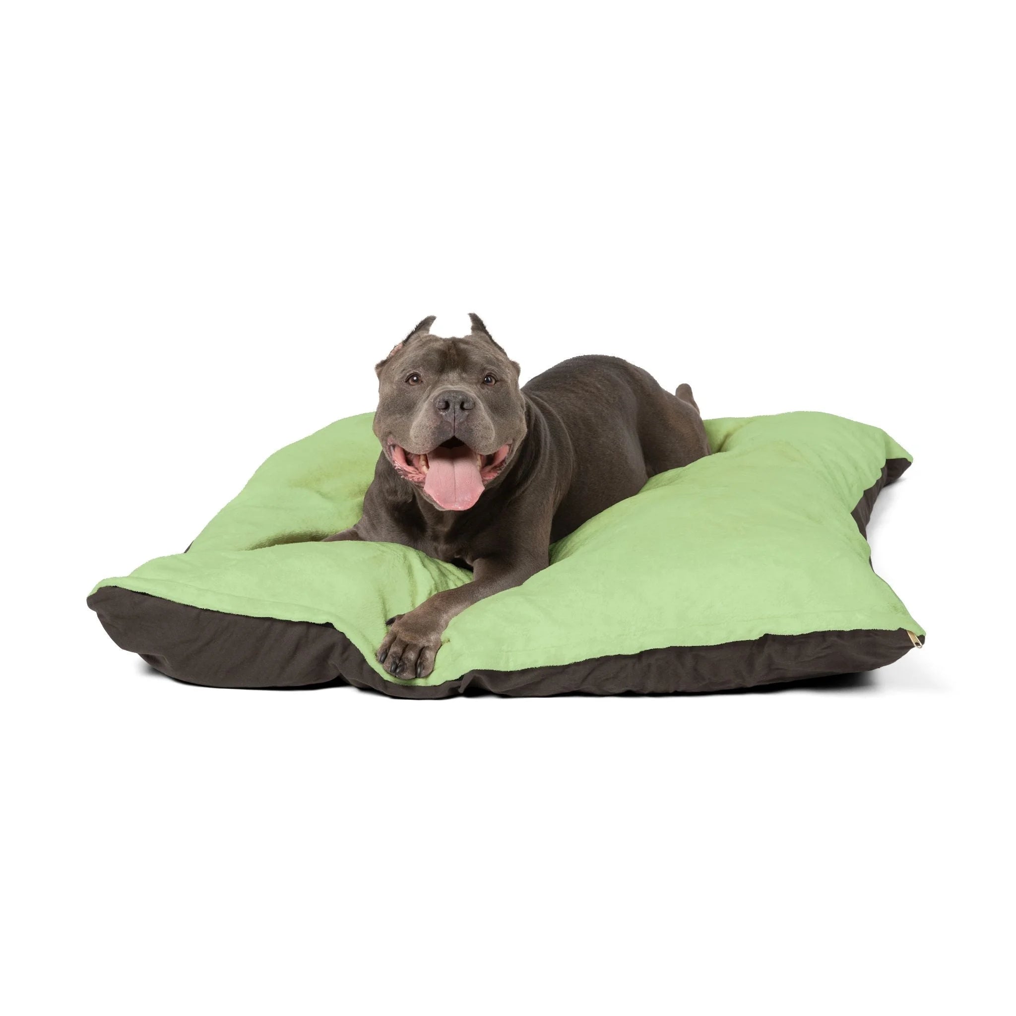 Buy The Best By Artsulli x Color Printify - Pet Bed - 2025