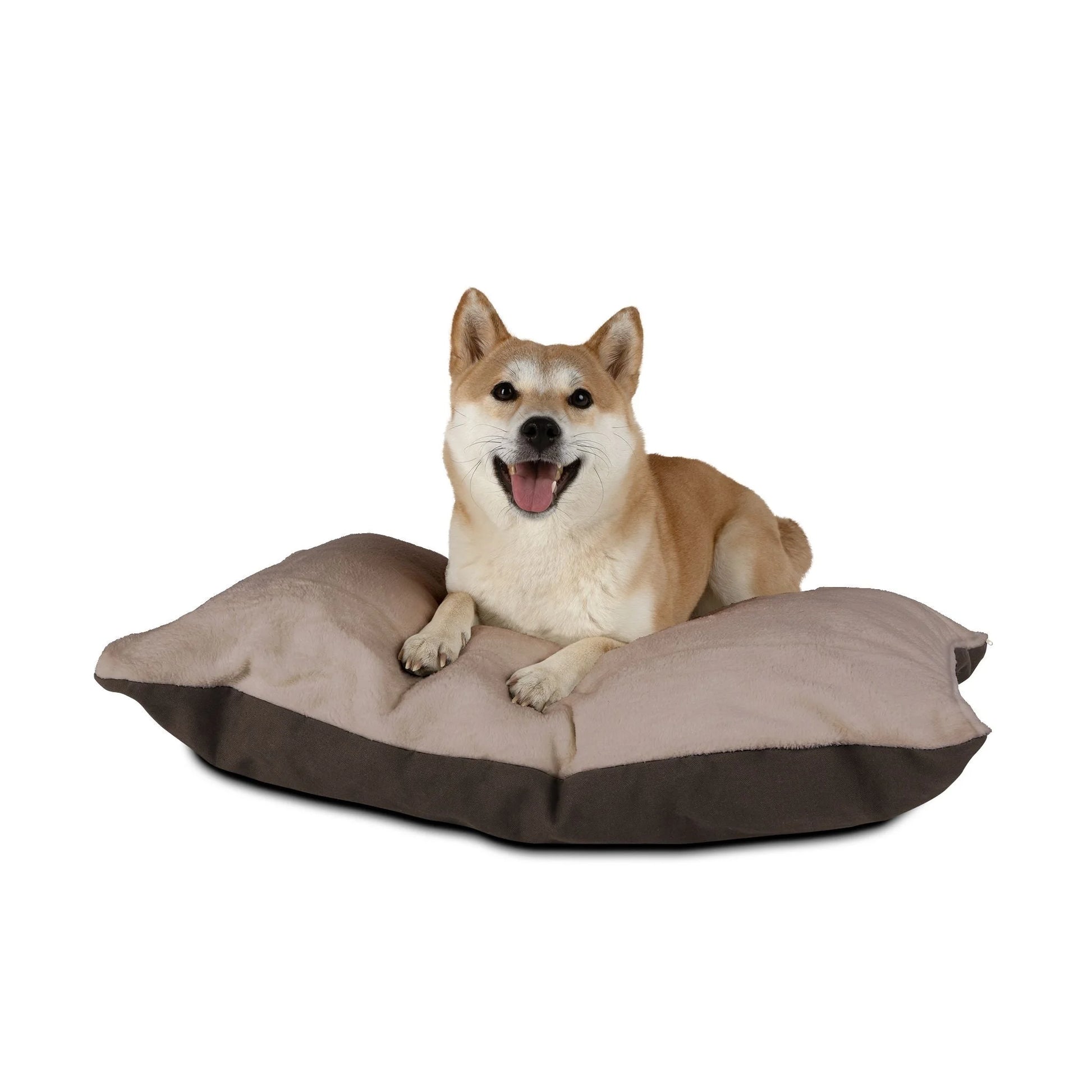 Buy The Best By Artsulli x Color Printify - Pet Bed - 2025